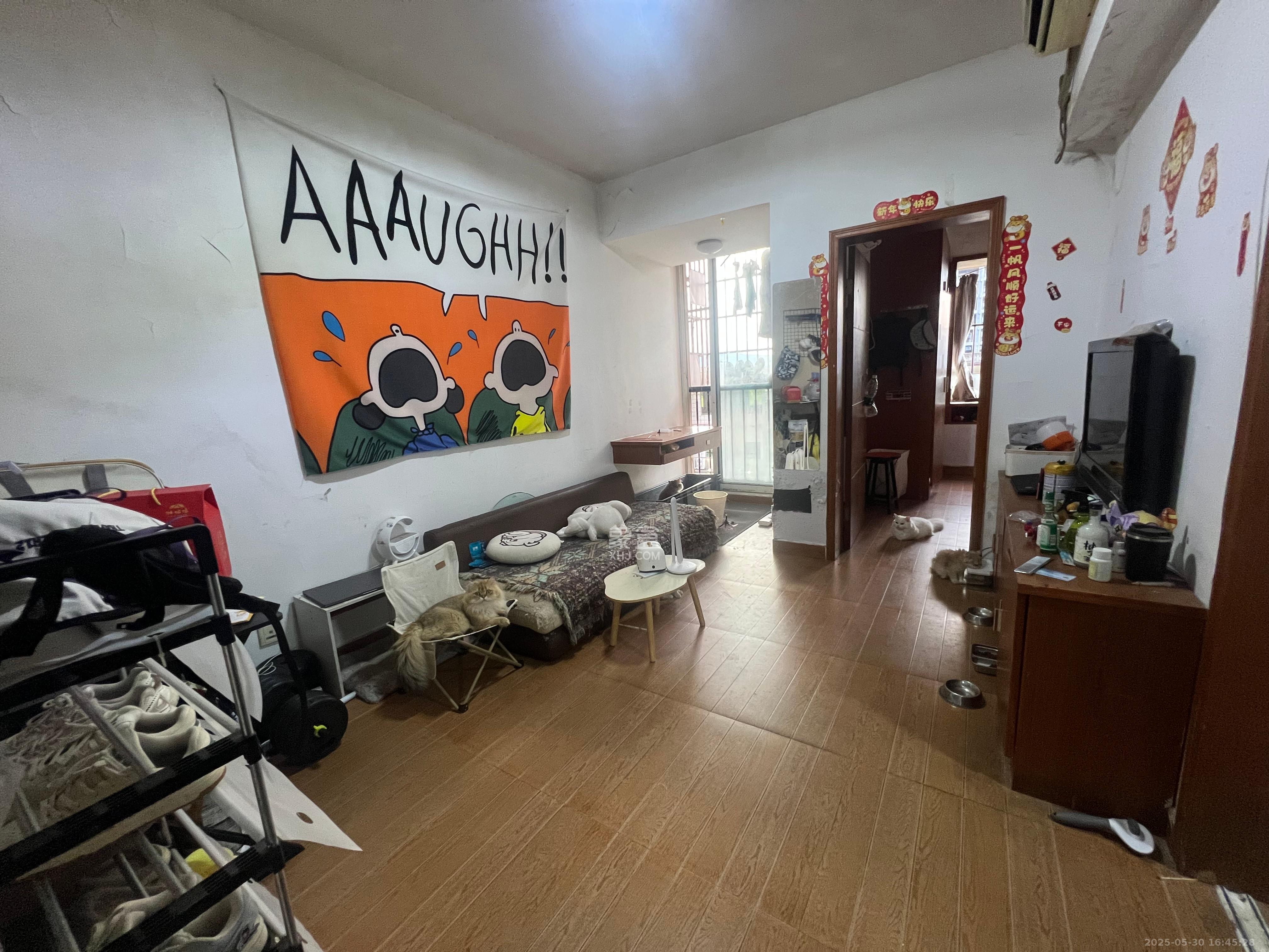 白沙晶城  1室1厅0卫   1800.00元/月室内图1