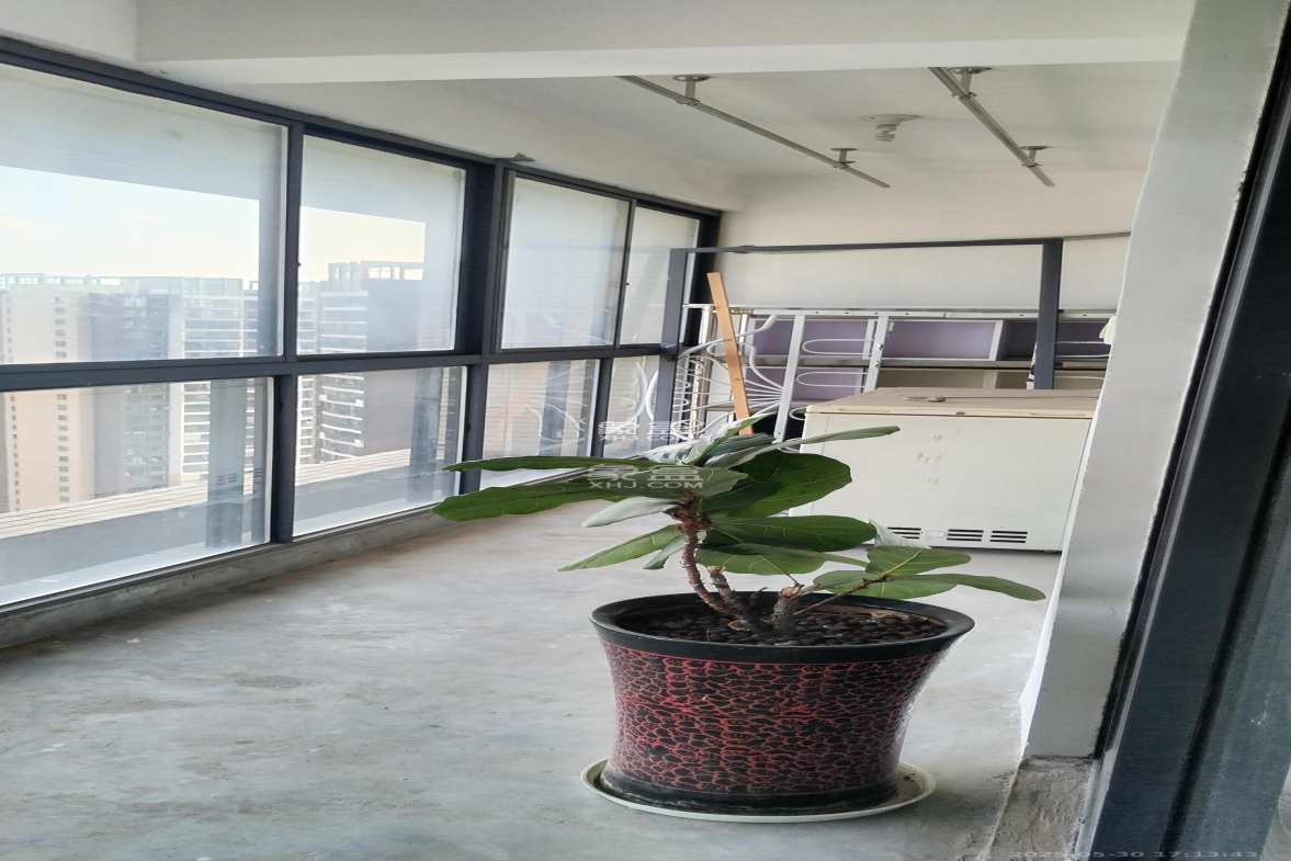 融科东南海  4室2厅1卫    2200.0元/月 融科东南海  4室2厅1卫    2200.0元/月室内图