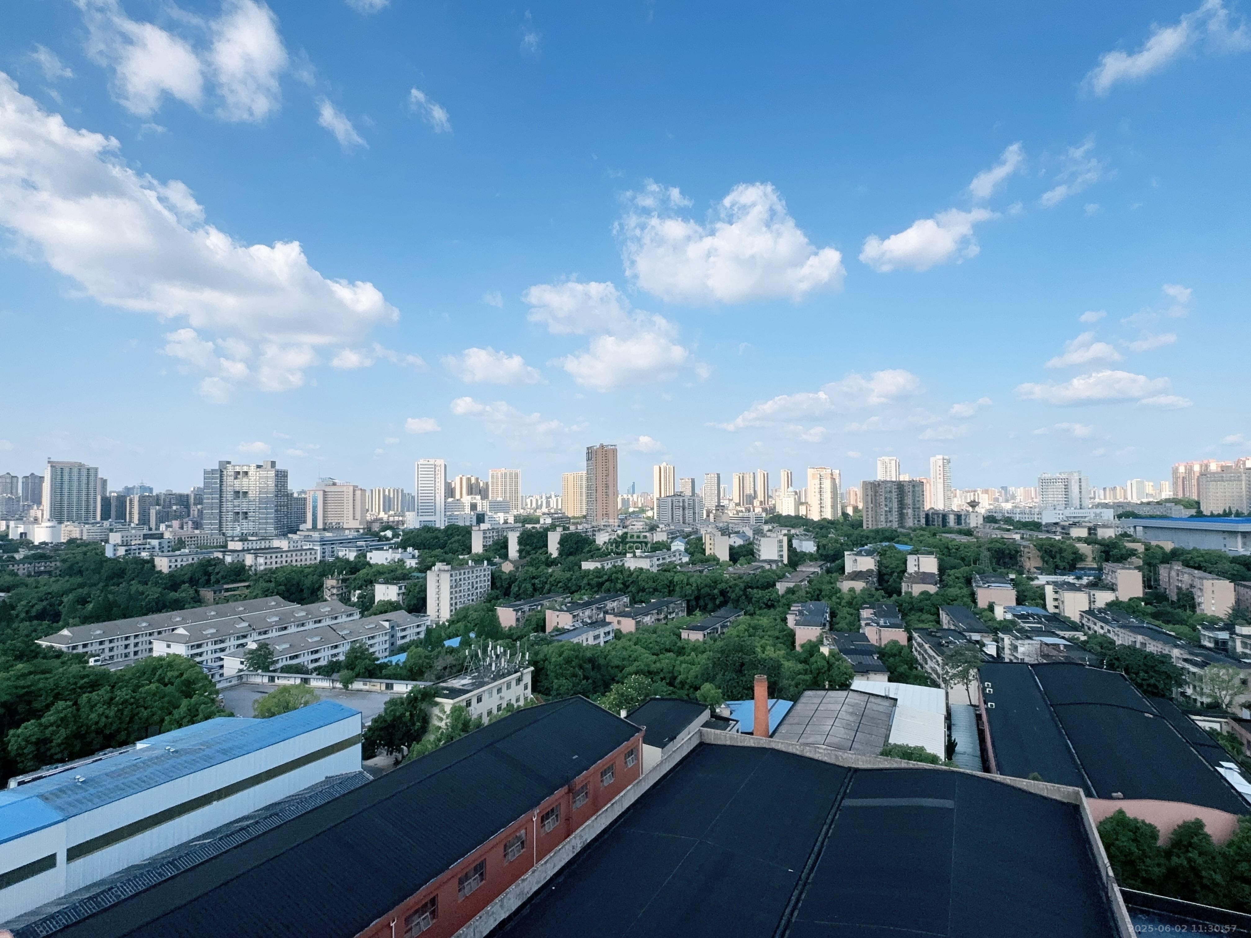 中云公寓  1室0厅0卫   5500.00元/月室内图