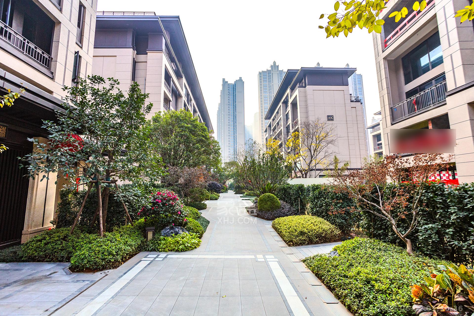 时代建发和著  5室2厅2卫   330.00万其他