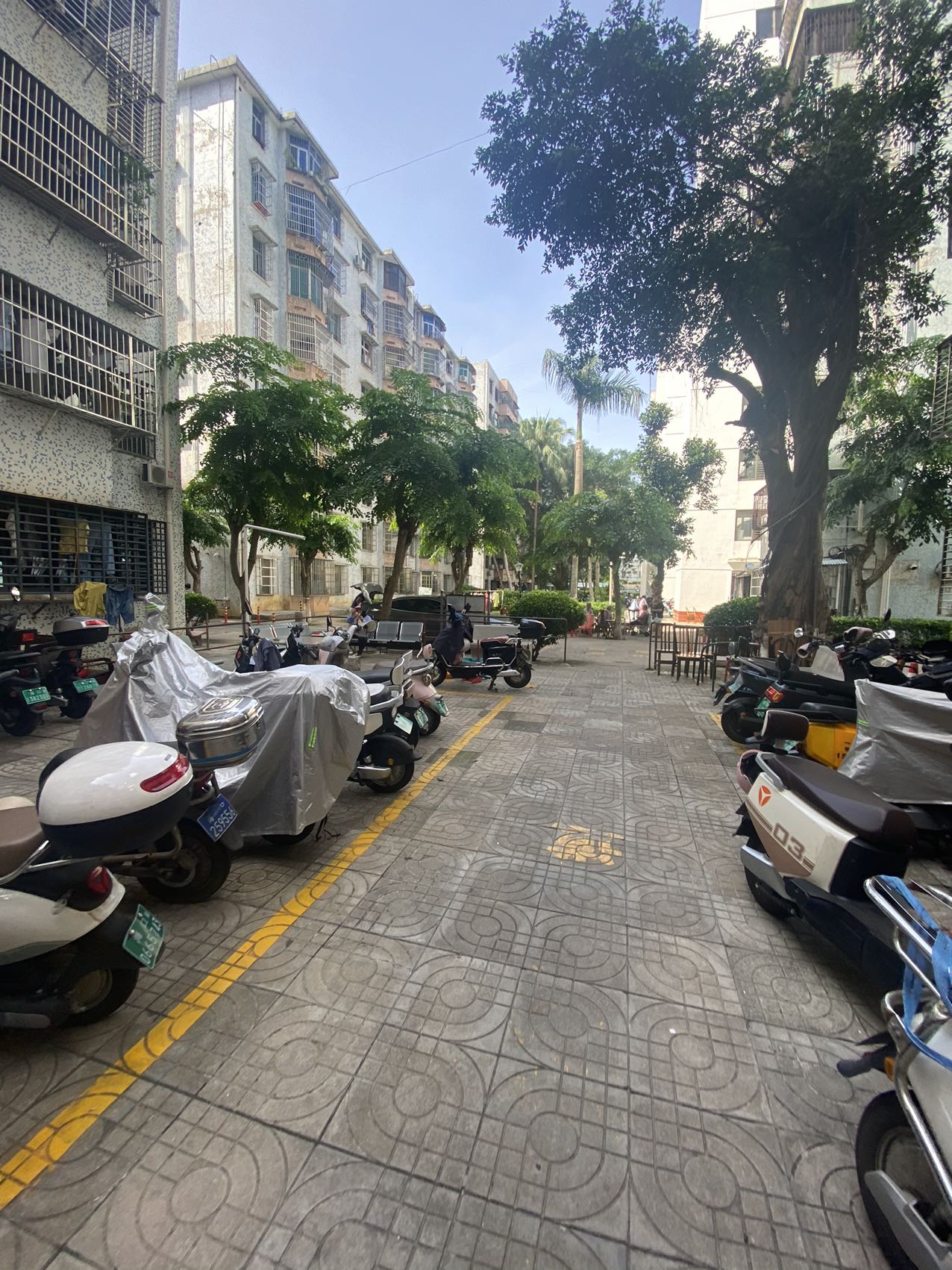 金鹿花园一期  1室0厅0卫    85.0万 金鹿花园一期  1室0厅0卫    85.0万客厅