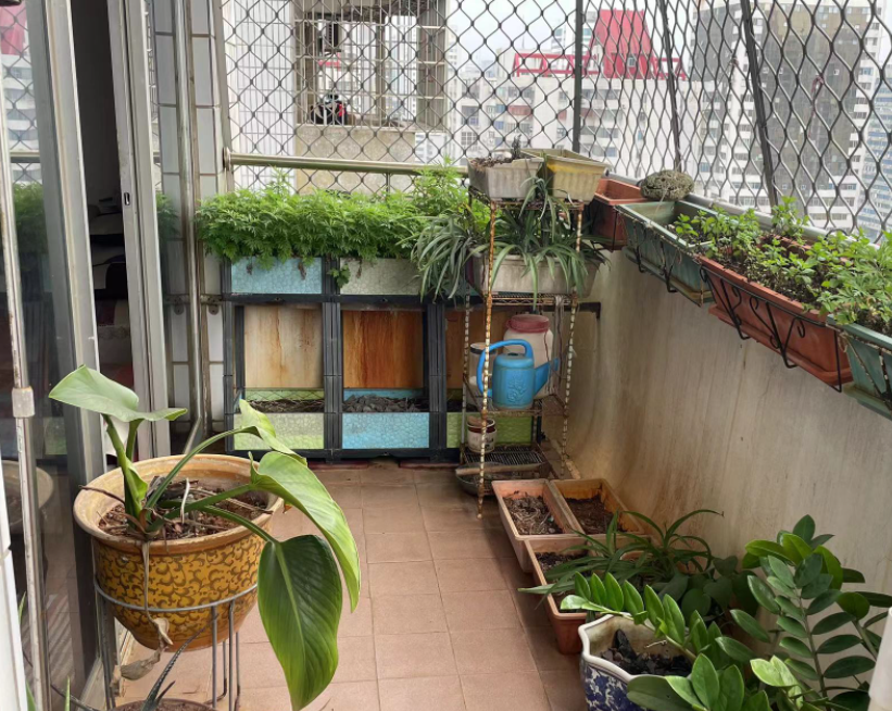 华锦苑 3室2厅2卫 146.0万 华锦苑 3室2厅2卫 146.0万客厅