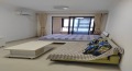 滨海新天地  1室1厅1卫   1500.00元/月