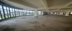 裕科大厦  1室1厅1卫   185000.00元/月