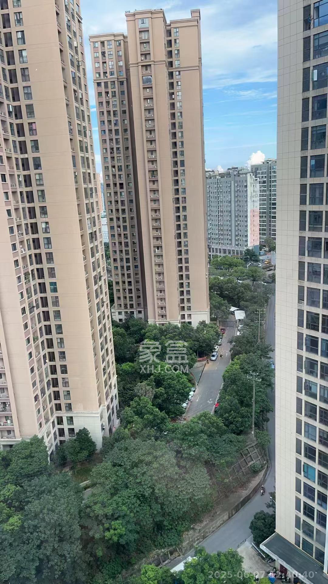 融科东南海  1室1厅1卫   1550.00元/月室内图