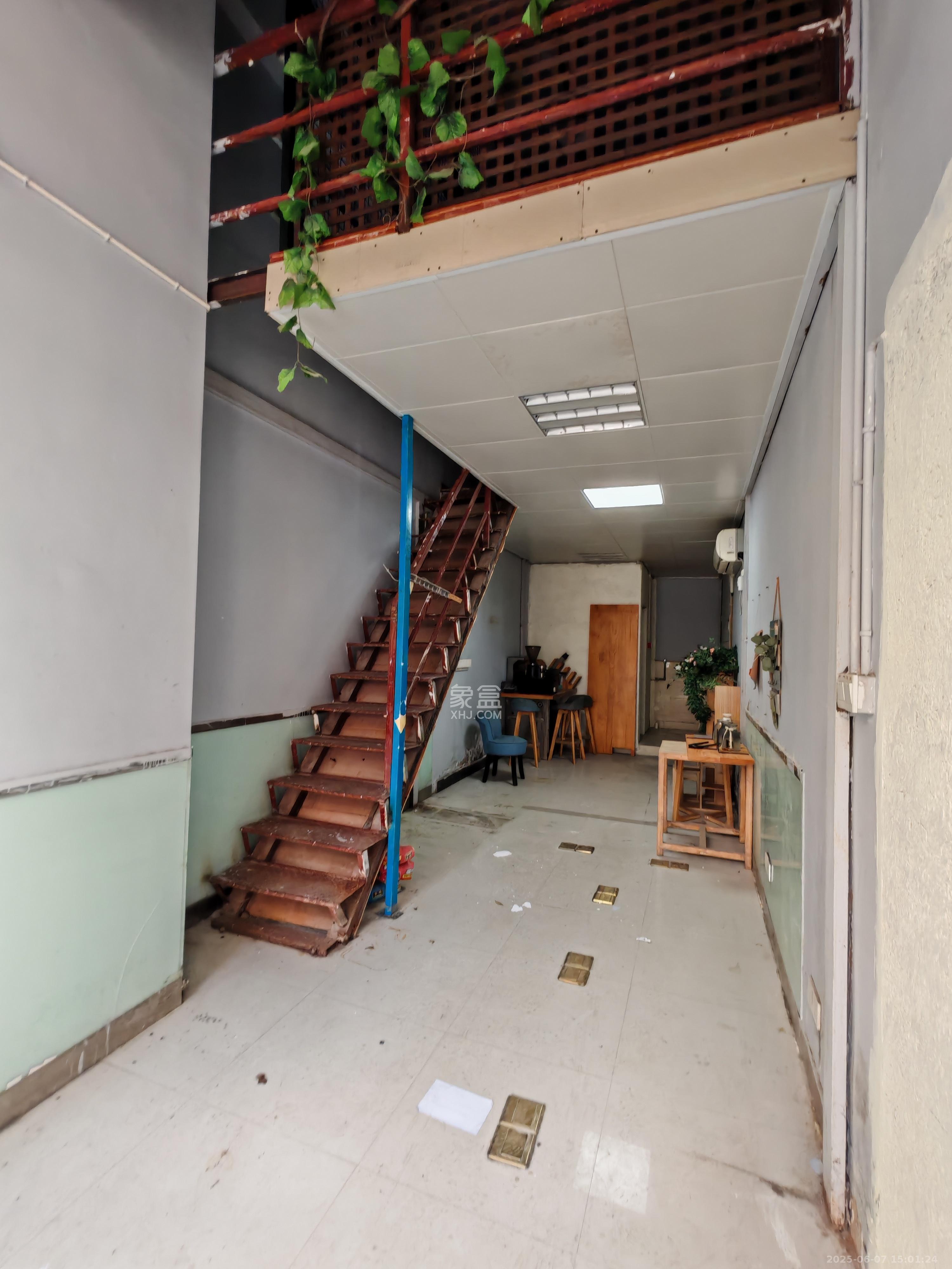 潇湘奥林匹克花园   30.0㎡      1500.0元/月