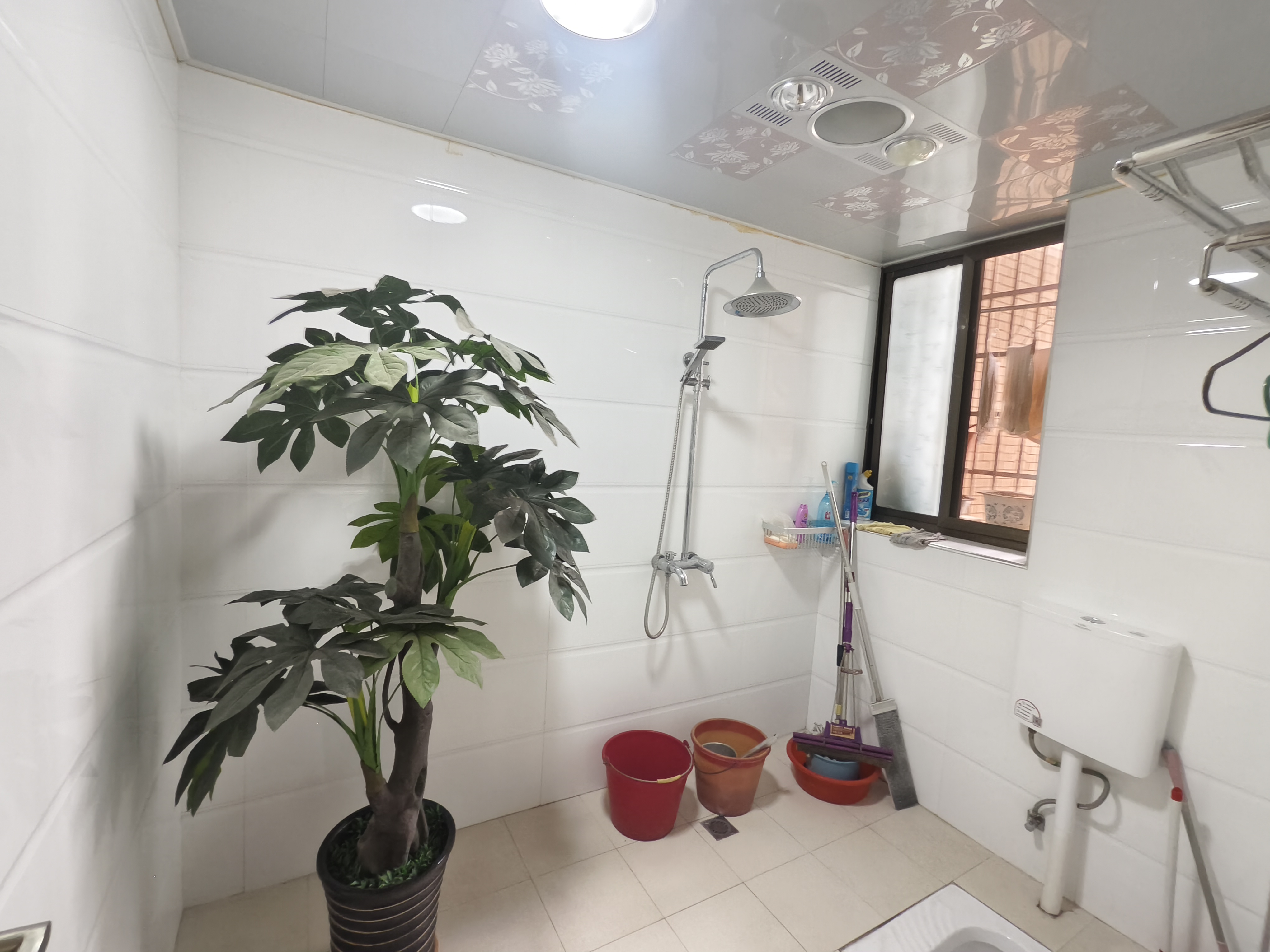 三元大市场  2室2厅1卫    52.8万