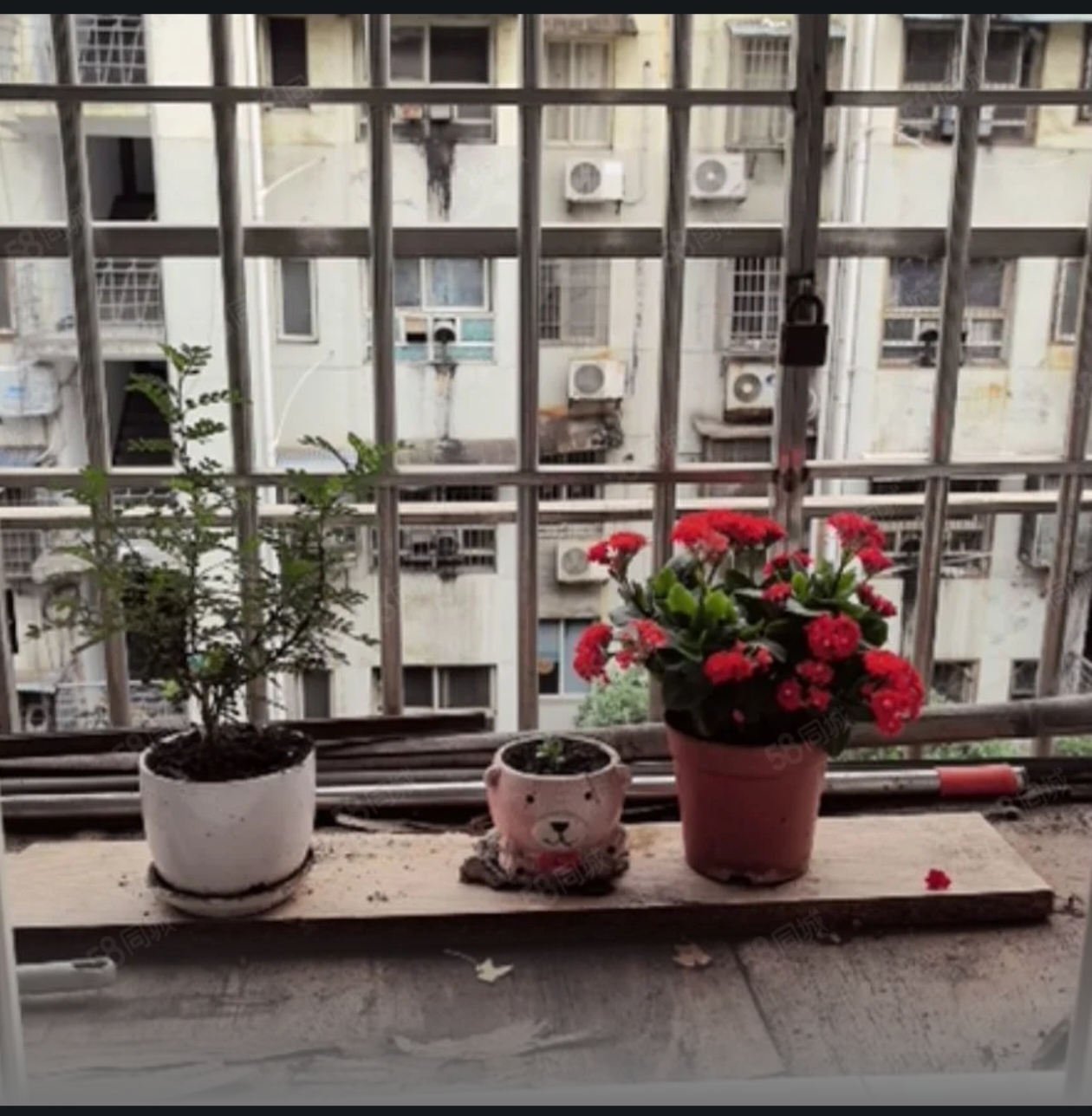 索桥居委会 1室0厅0卫 20.8万 索桥居委会 1室0厅0卫 20.8万户型图