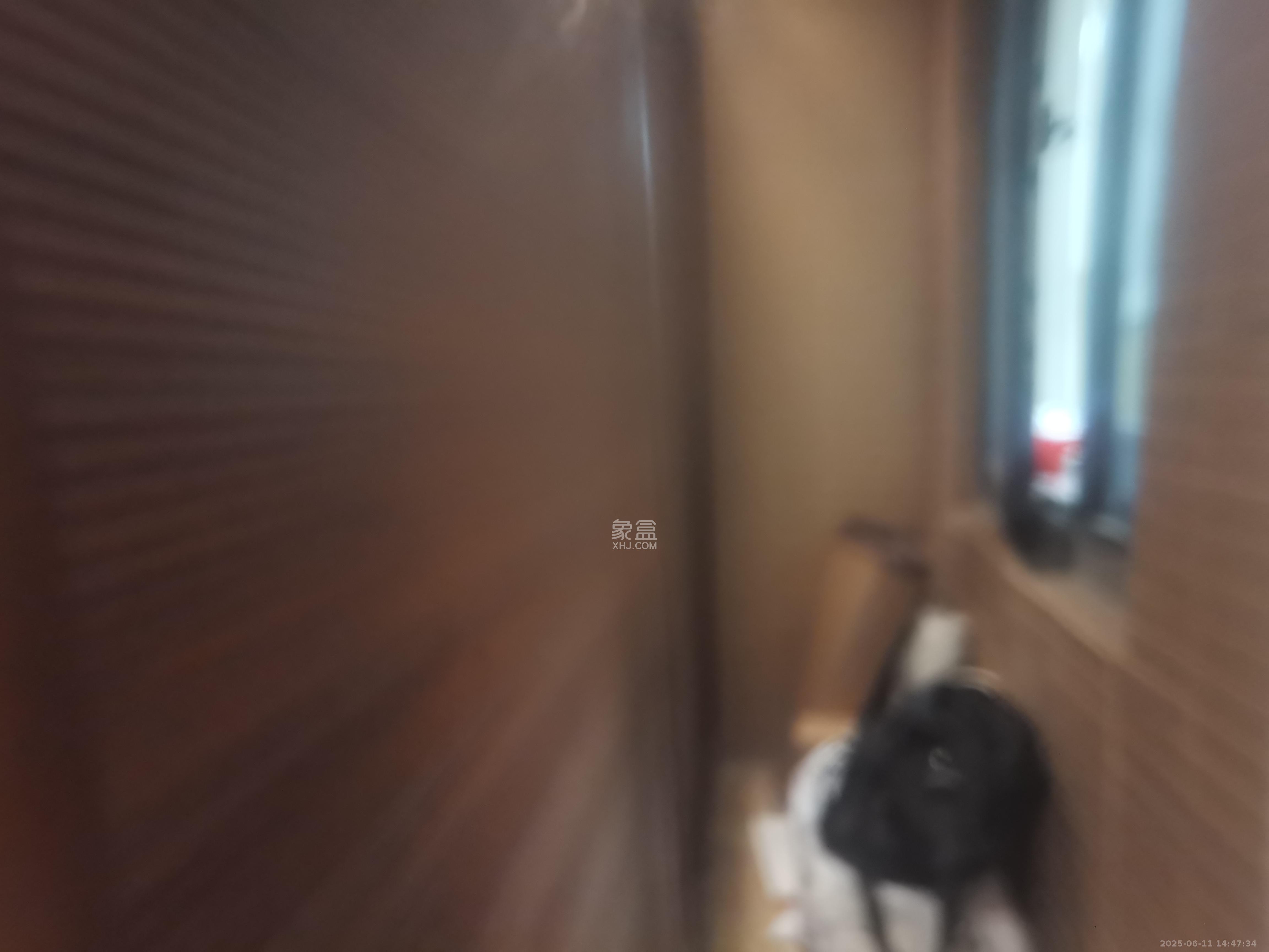 武广美誉 3室2厅1卫 2200.0元/月 武广美誉 3室2厅1卫 2200.0元/月室内图