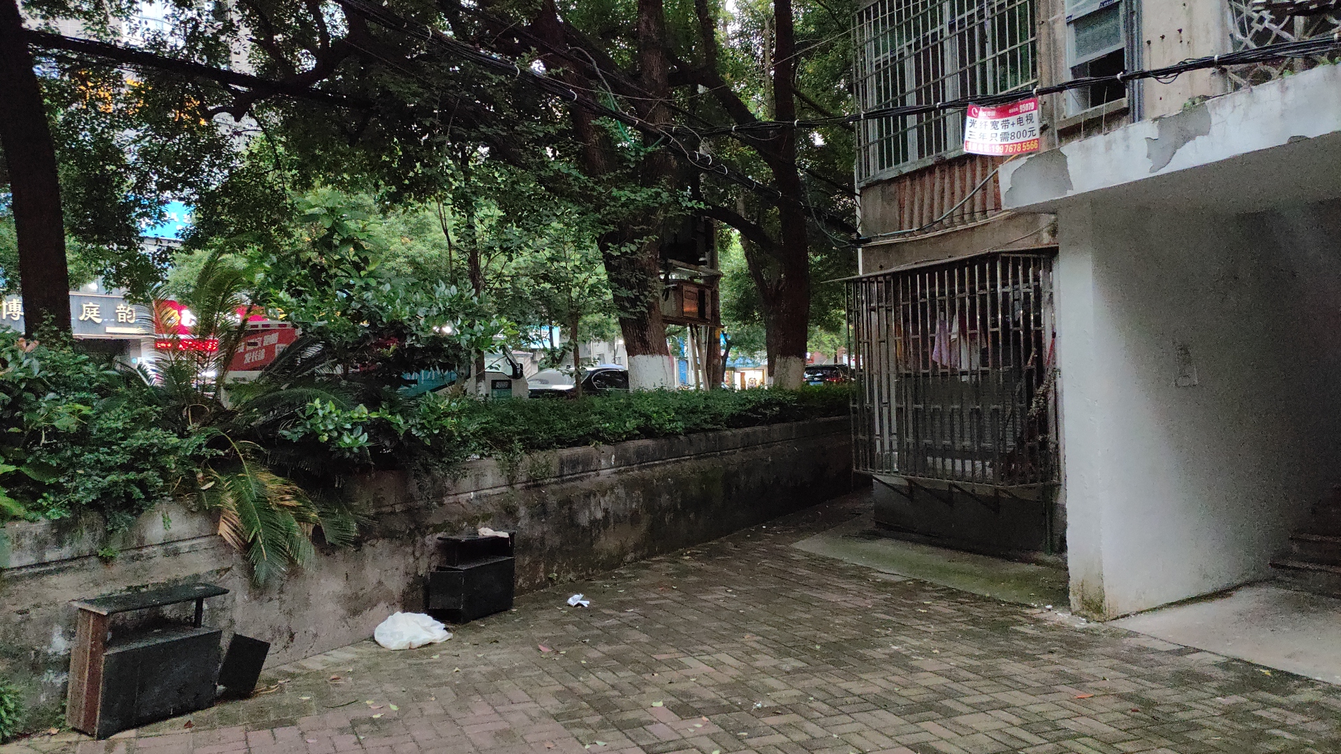 白沙洲散盘 1室1厅1卫 700.0元/月 白沙洲散盘 1室1厅1卫 700.0元/月室内图