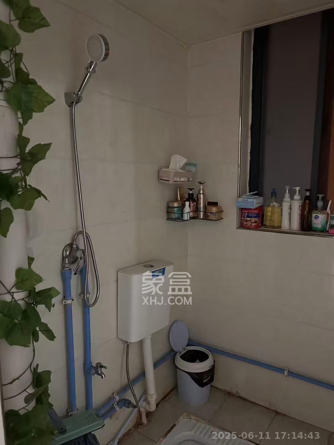 圭塘三小区 1室1厅1卫 1500.0元/月 圭塘三小区 1室1厅1卫 1500.0元/月户型图