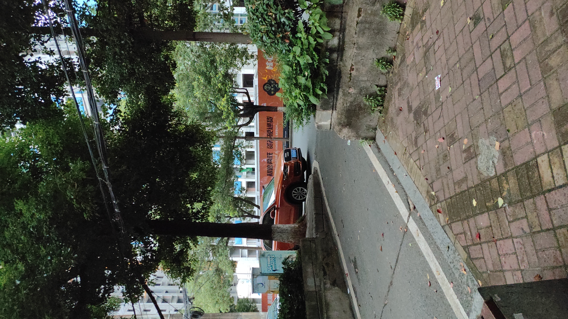 白沙洲散盘 1室1厅1卫 700.0元/月 白沙洲散盘 1室1厅1卫 700.0元/月室内图