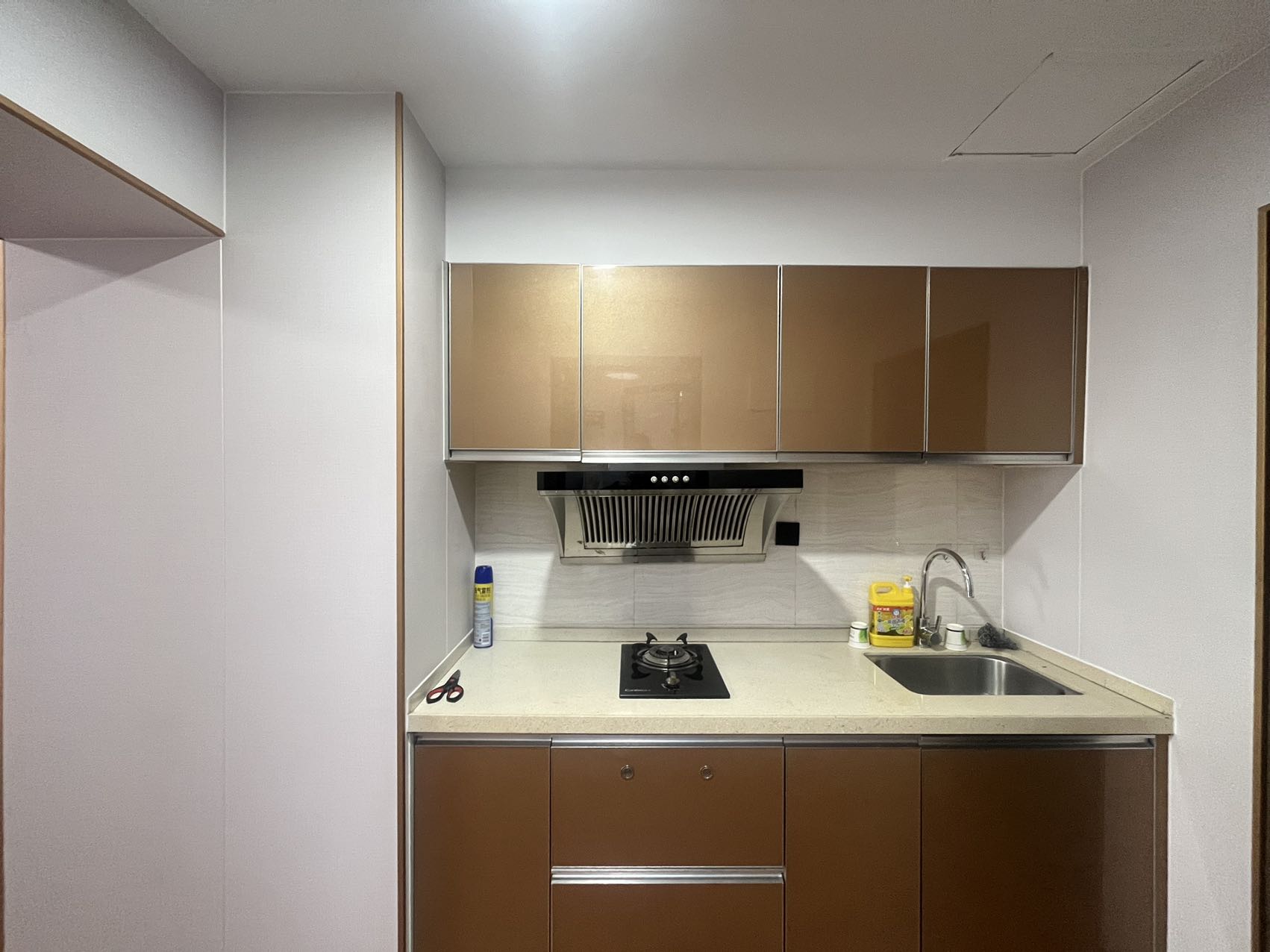 倚能美林湾北苑 1室0厅1卫 52.0万 倚能美林湾北苑 1室0厅1卫 52.0万室内图