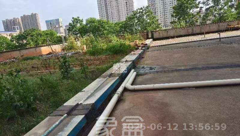 佳美紫郡 4室2厅1卫 2000.0元/月 佳美紫郡 4室2厅1卫 2000.0元/月室内图