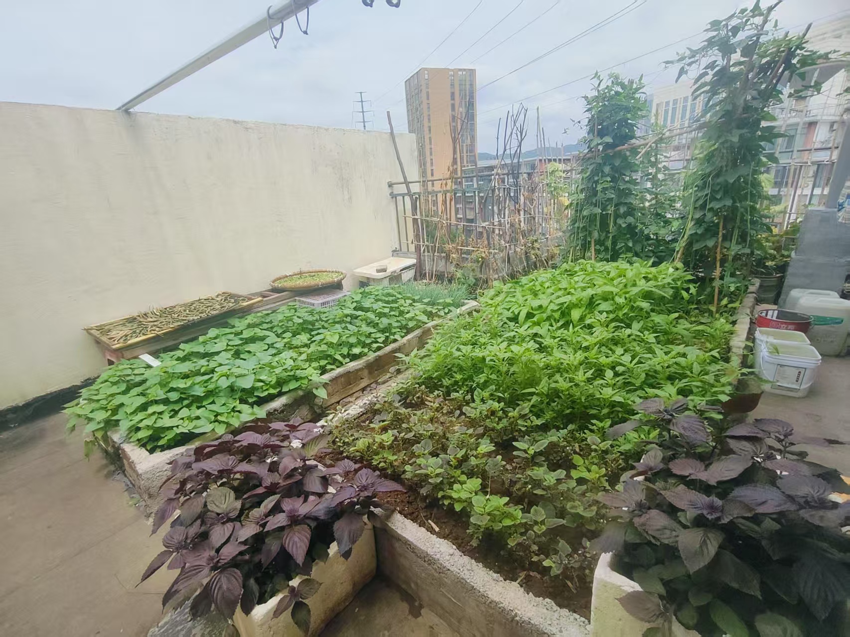 时代国际 5室2厅2卫 48.0万 时代国际 5室2厅2卫 48.0万室内图