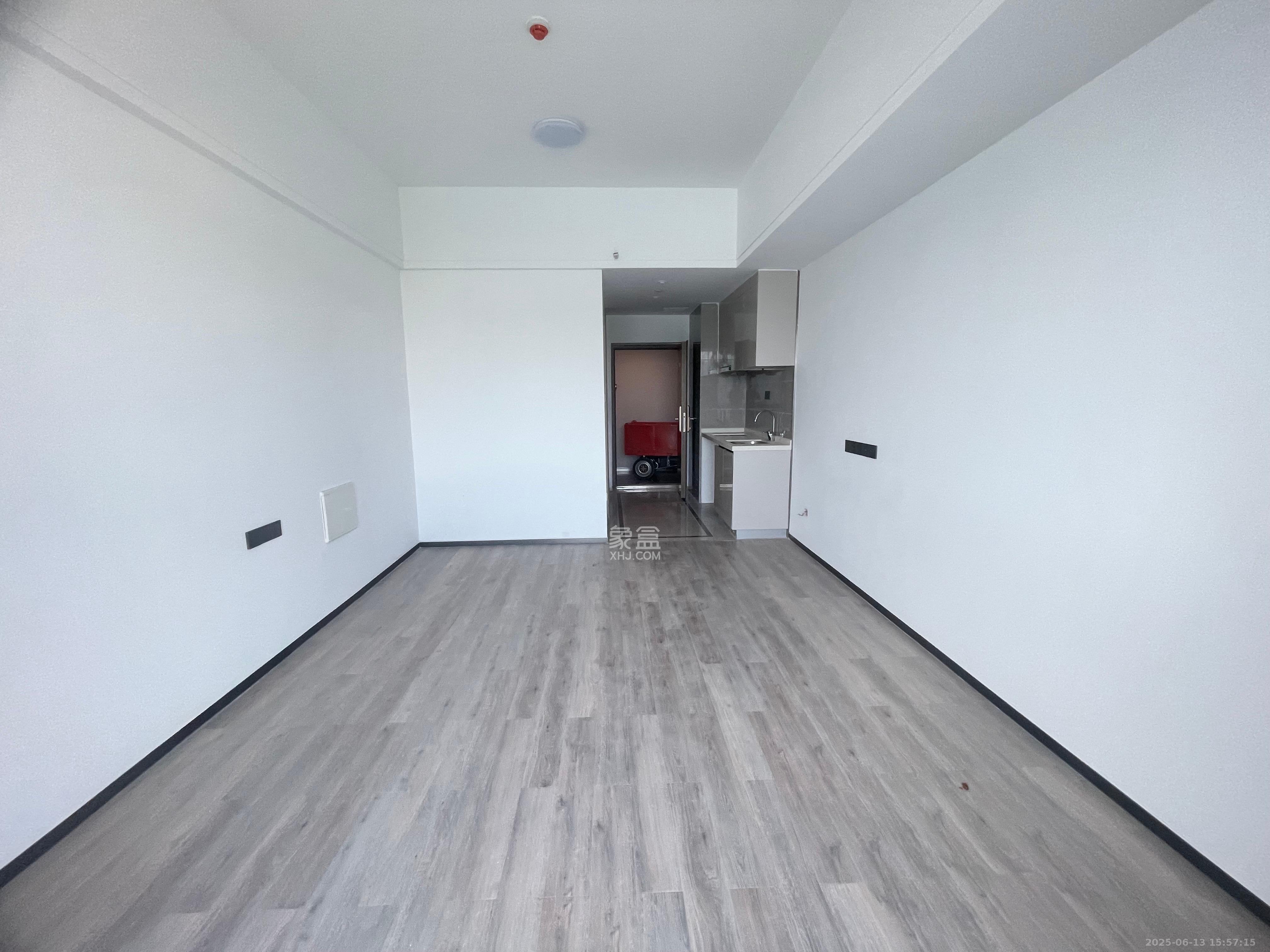 中建宝铂公馆  1室1厅1卫   2000.00元/月室内图