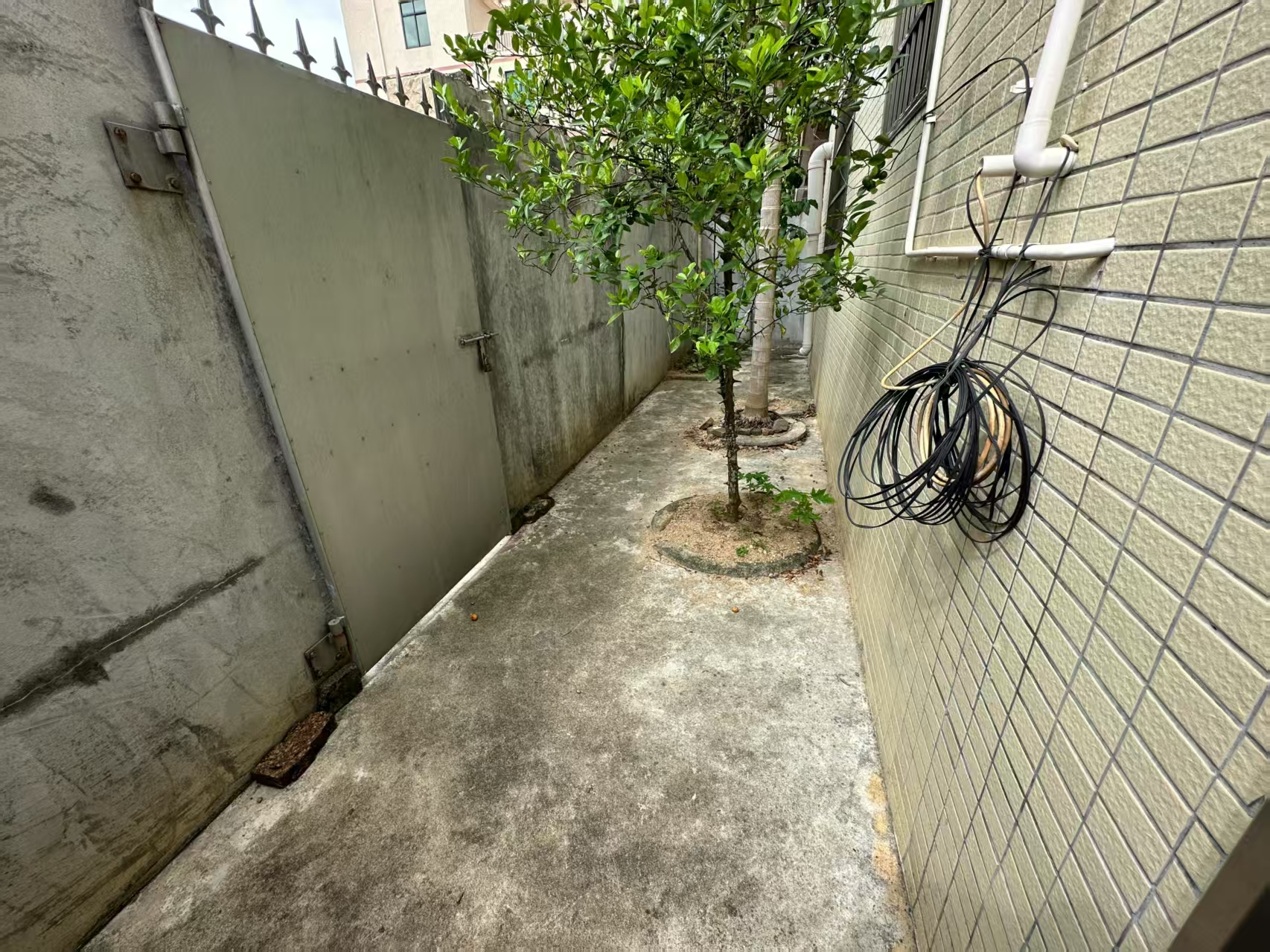 东头村独栋小院 6室2厅4卫 4000.0元/月 东头村独栋小院 6室2厅4卫 4000.0元/月室内图