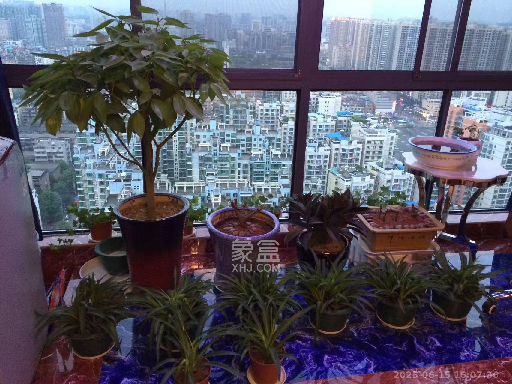 曙光领峰(曙光家园) 3室2厅1卫 2800.0元/月 曙光领峰(曙光家园) 3室2厅1卫 2800.0元/月室内图