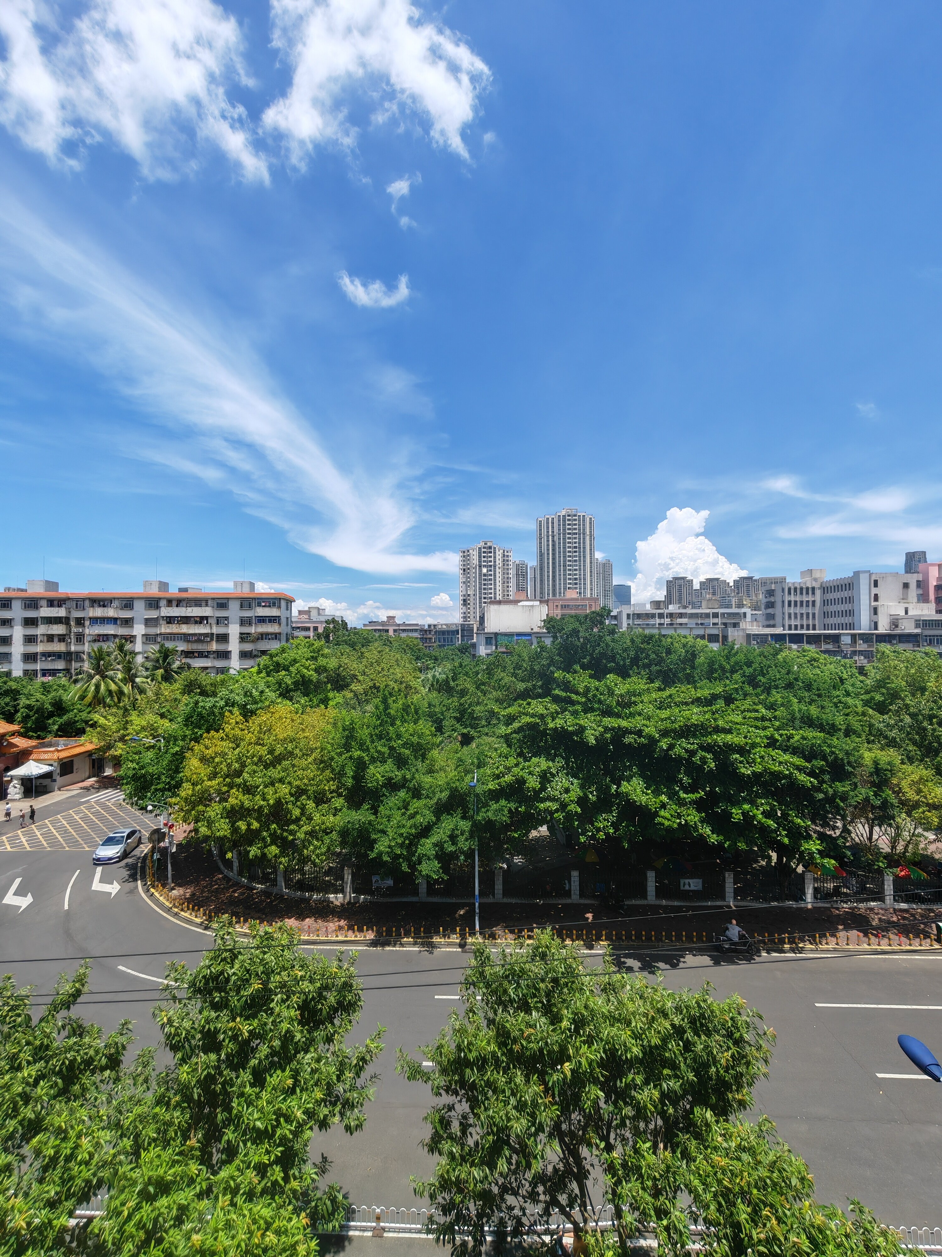 嵩阳大厦  1室1厅1卫   43.00万客厅