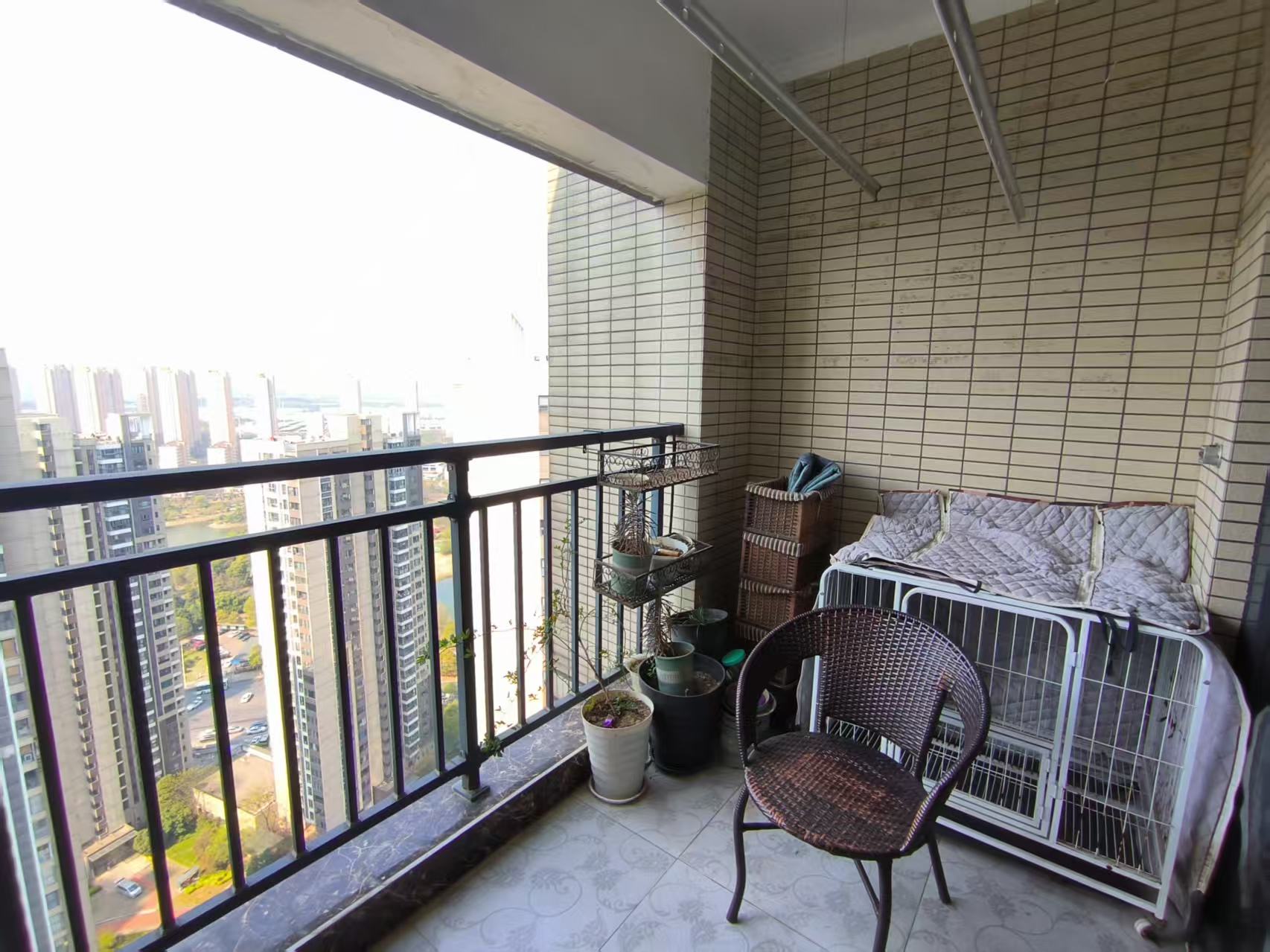 美的城三期 3室1厅1卫 43.0万 美的城三期 3室1厅1卫 43.0万室内图