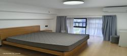 龙湖新壹城  1室0厅0卫   2300.00元/月