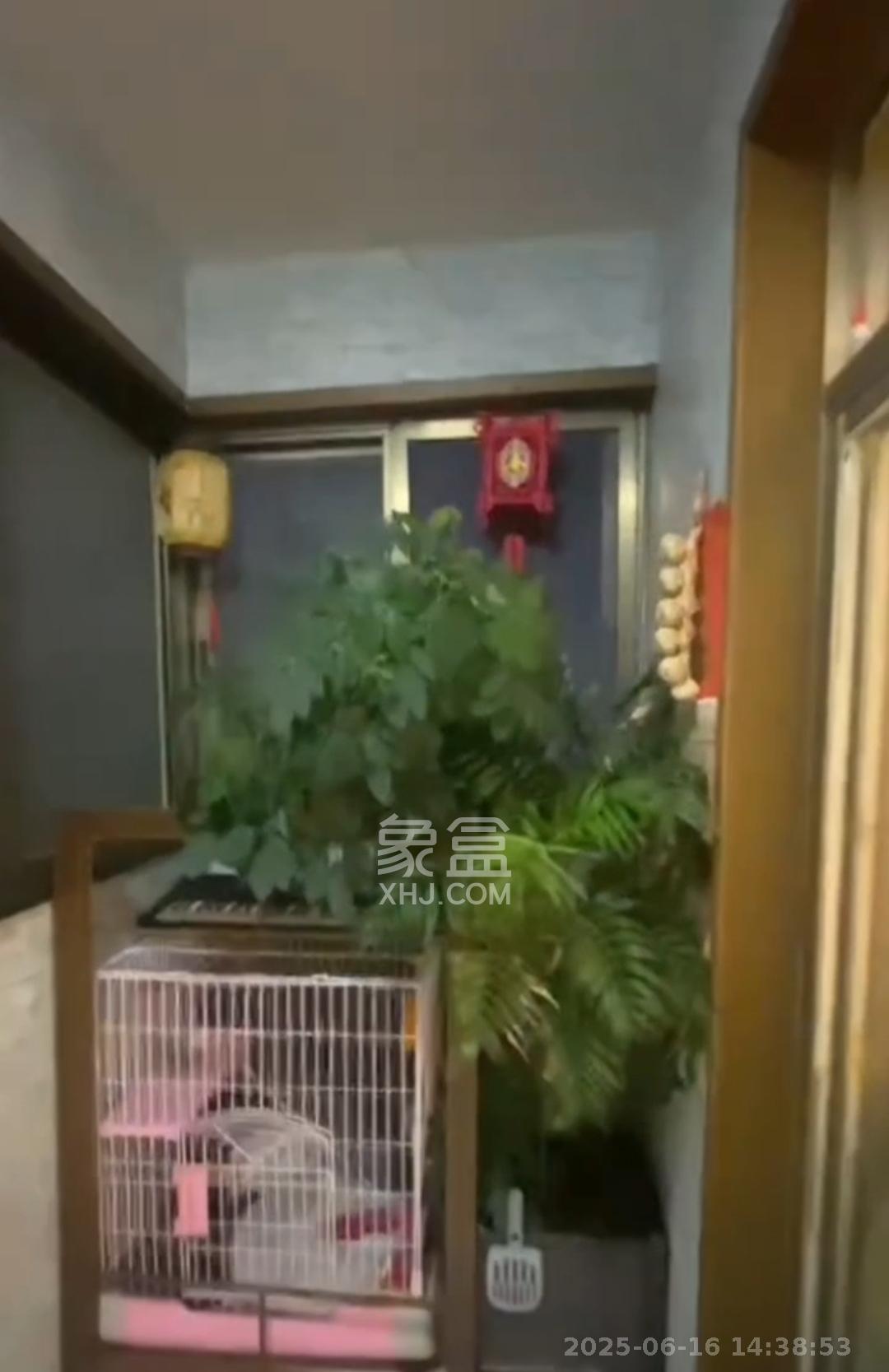 南明苑西区 3室2厅1卫 2500.0元/月 南明苑西区 3室2厅1卫 2500.0元/月室内图