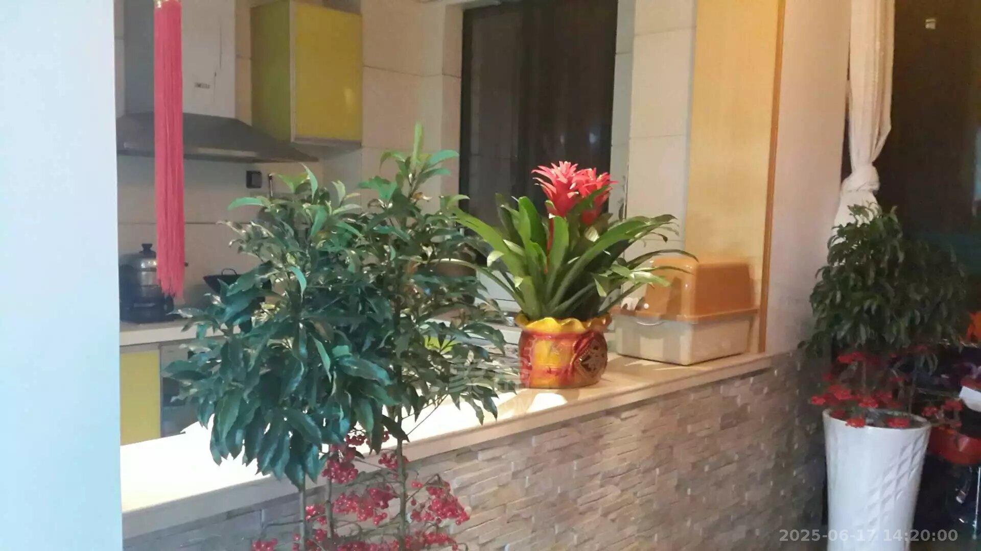 西域名邸 4室2厅1卫 1800.0元/月 西域名邸 4室2厅1卫 1800.0元/月室内图