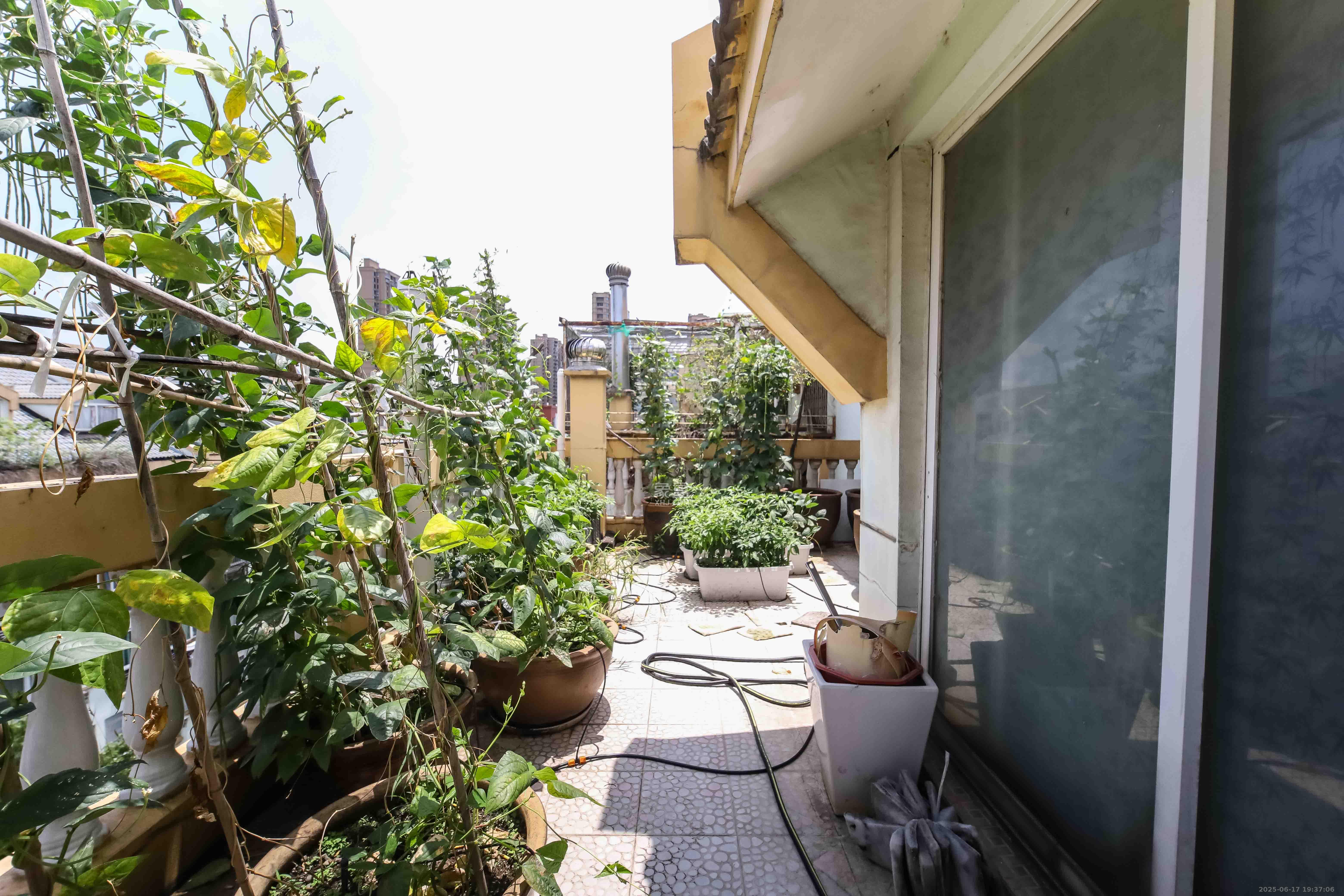 芙蓉苑  5室3厅3卫   118.00万阳台