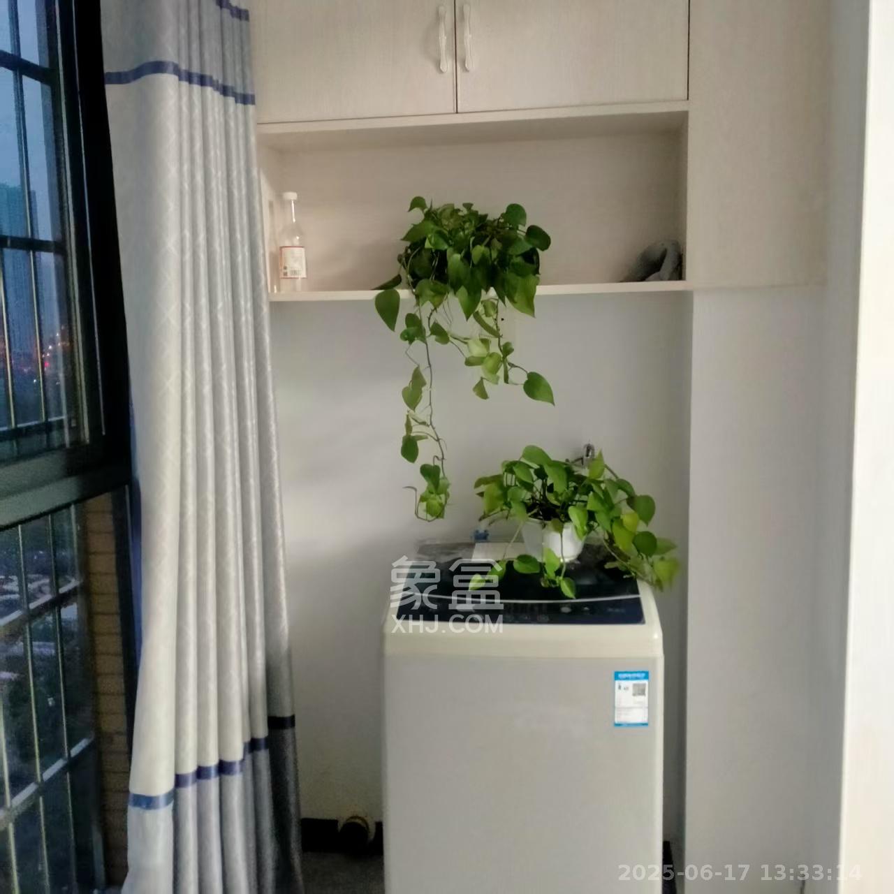 星城新宇川河苑  2室2厅1卫   1800.00元/月室内图