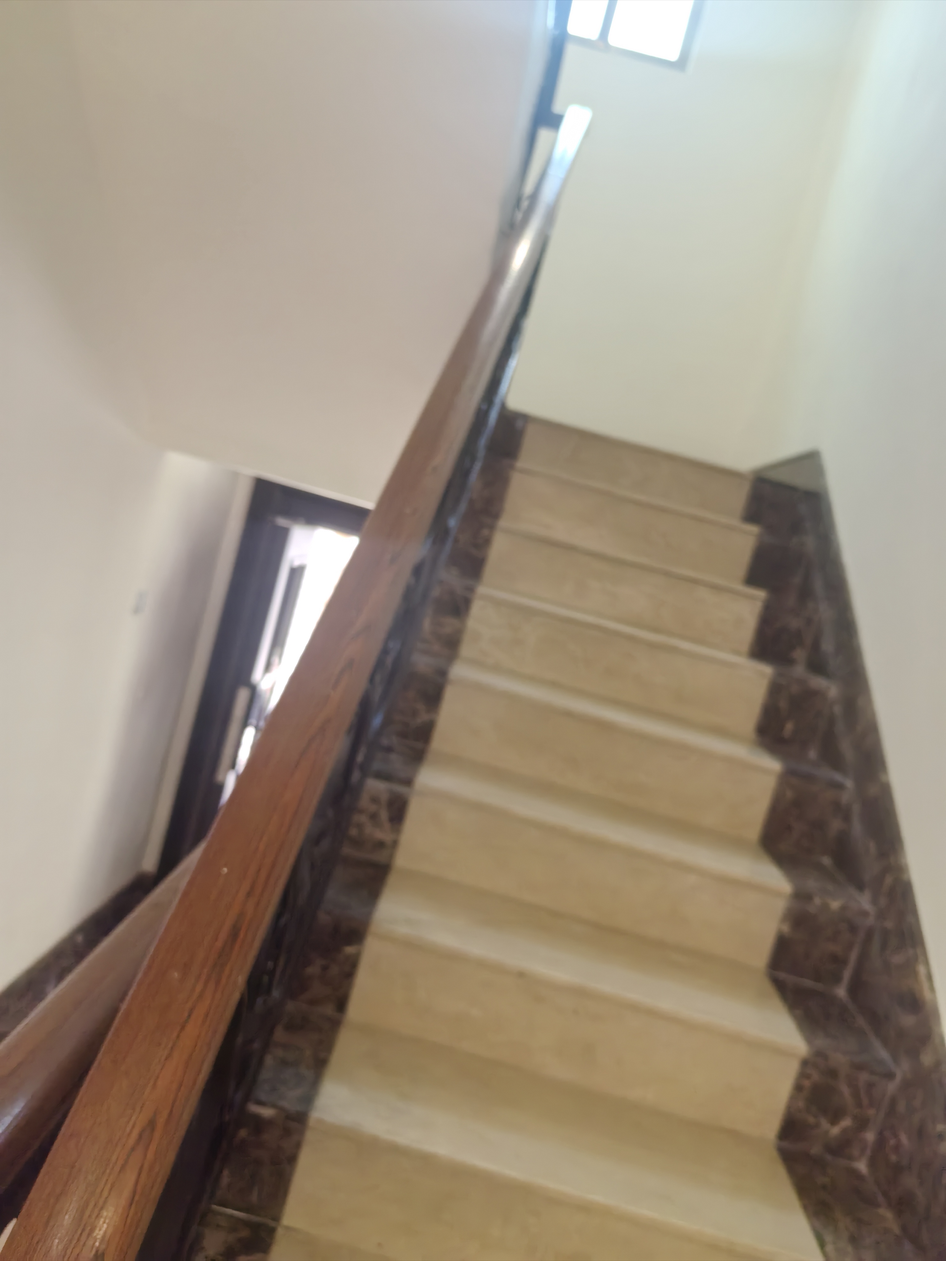 九龙花园别墅 7室4厅5卫 16000.0元/月 九龙花园别墅 7室4厅5卫 16000.0元/月室内图