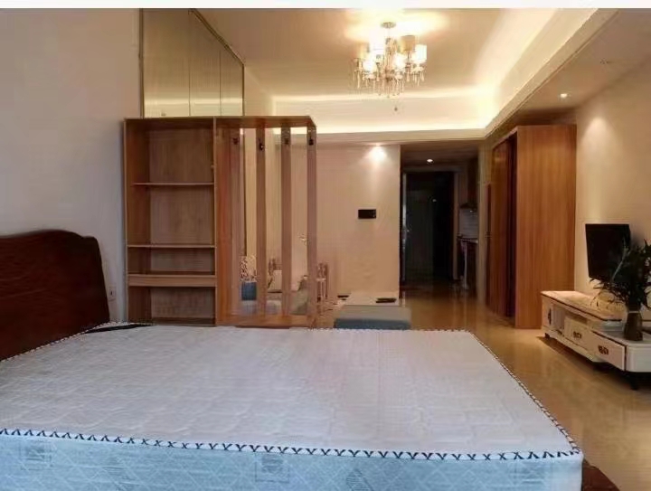 恒大外滩  1室1厅1卫   1900.00元/月室内图