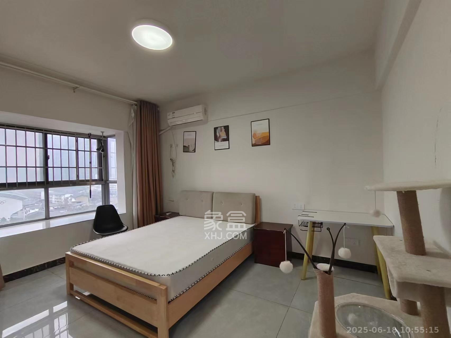 西罗亚大厦  1室1厅1卫    3000.0元/月