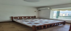 蓝岛康城  2室2厅1卫   1900.00元/月