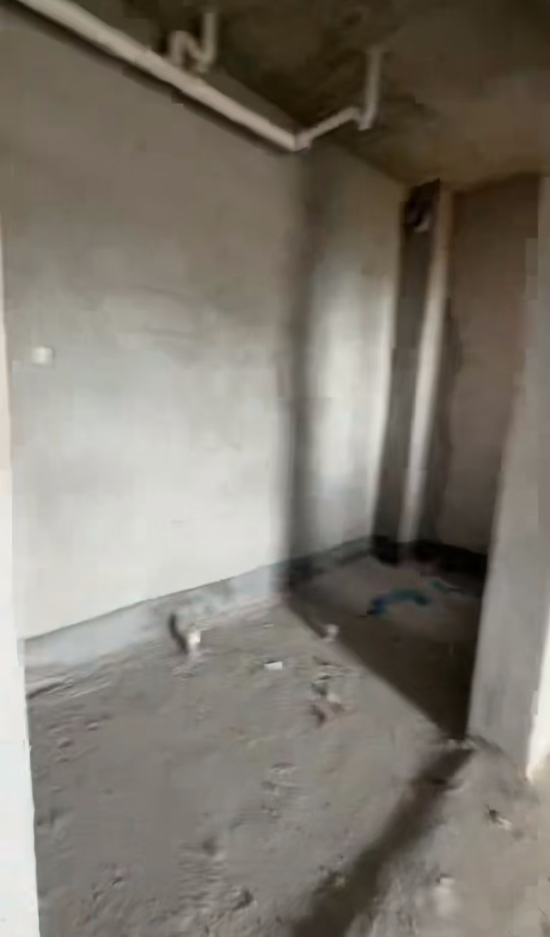 滨江公馆 1室0厅0卫 108.0万 滨江公馆 1室0厅0卫 108.0万室内图