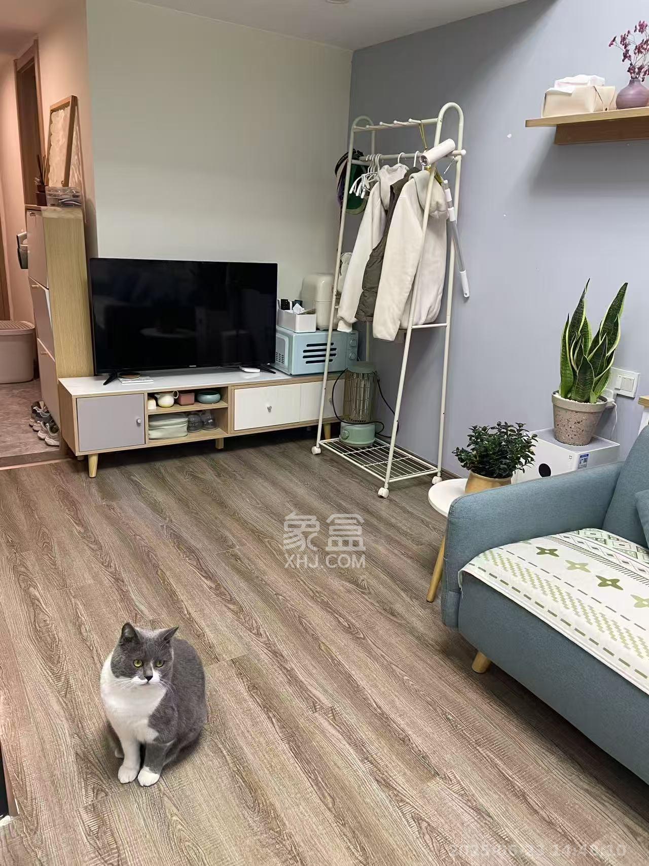 卓越浅水湾  1室1厅1卫   1800.00元/月室内图