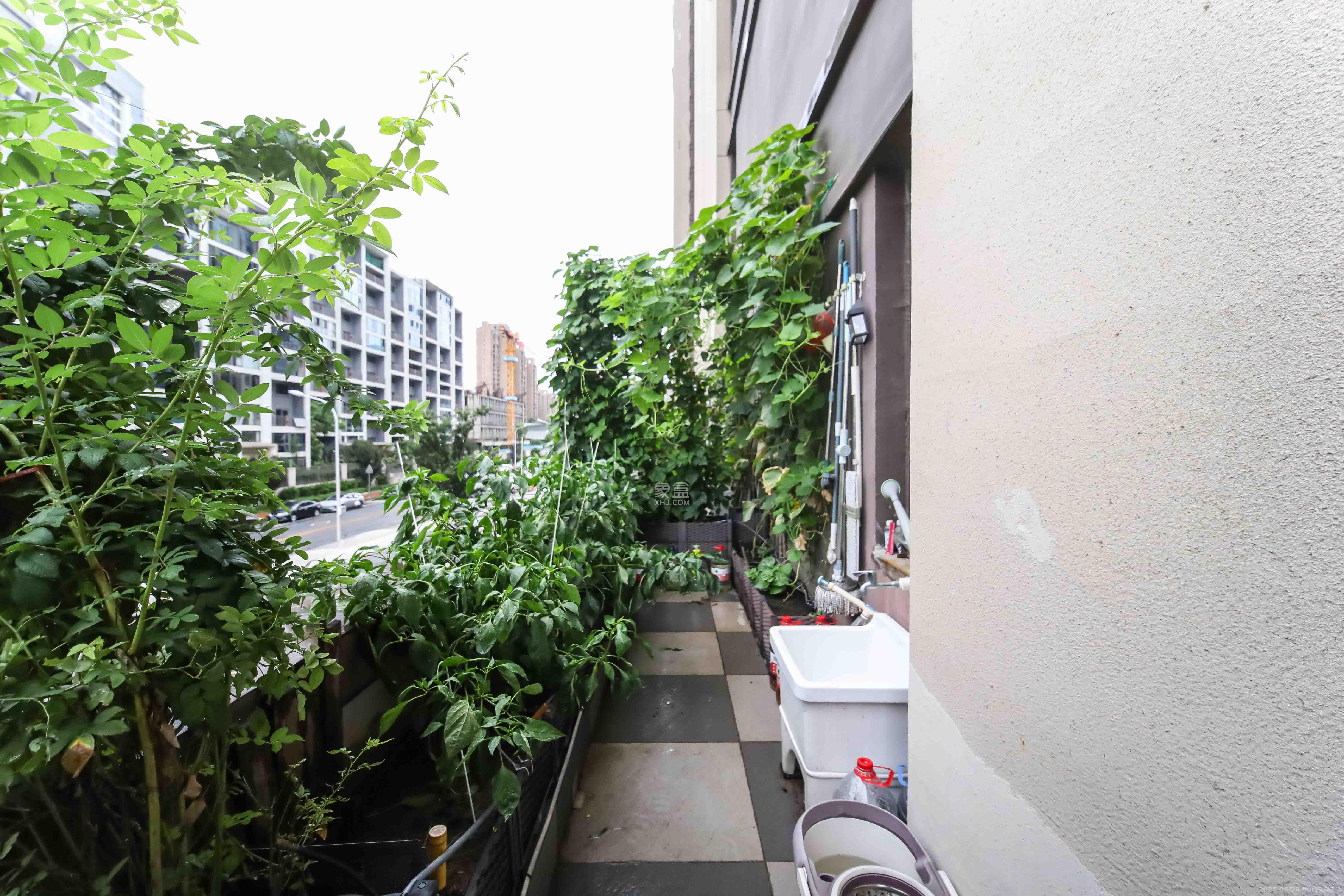 金茂建发观悦  4室2厅2卫   210.00万其他