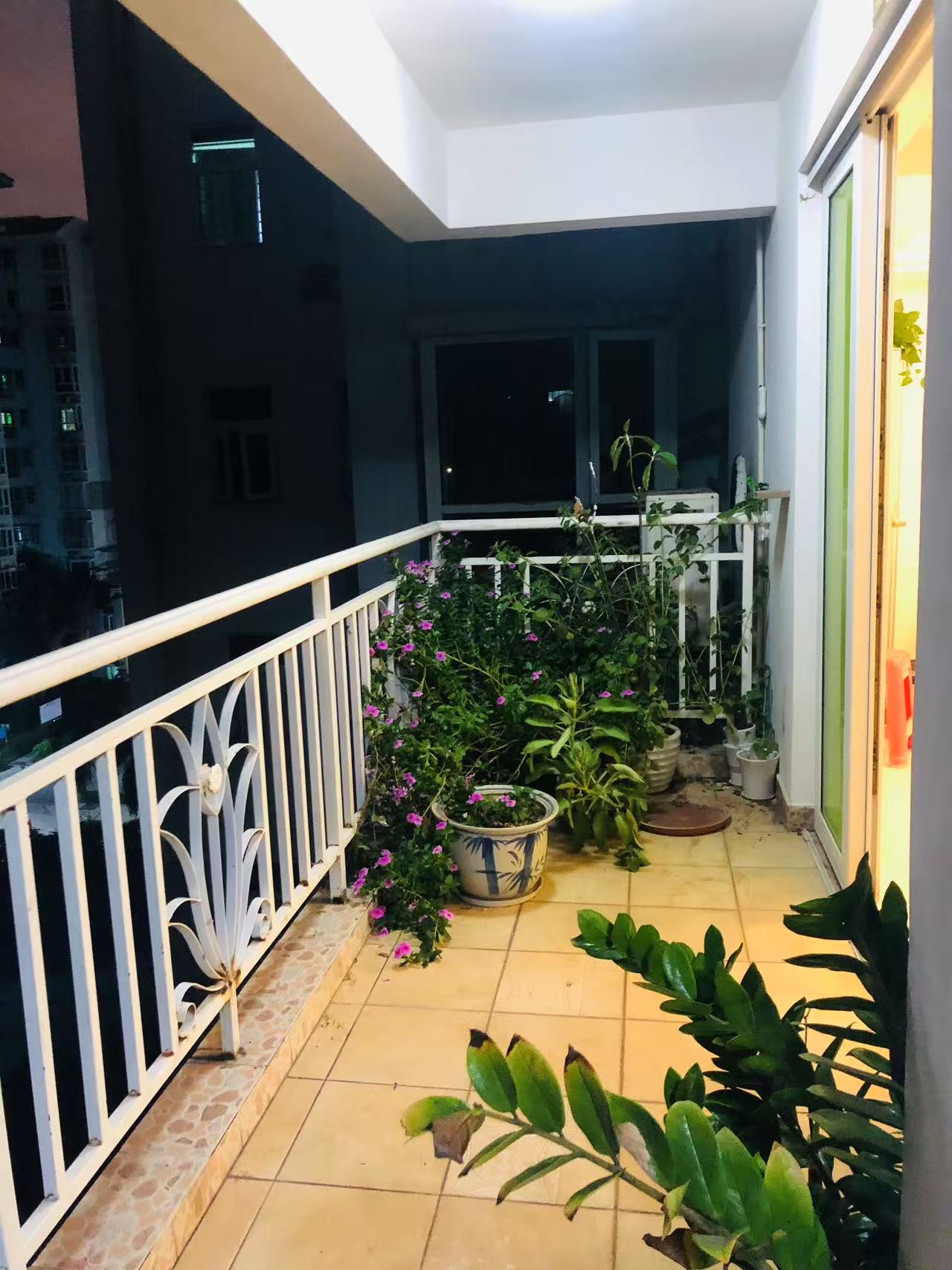 京江广场  3室2厅1卫    3000.0元/月 京江广场  3室2厅1卫    3000.0元/月室内图