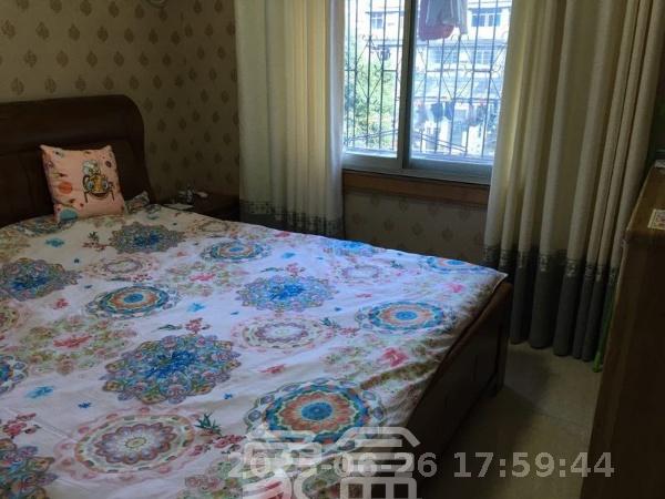 下麻园岭散盘  3室1厅1卫   2800.00元/月室内图