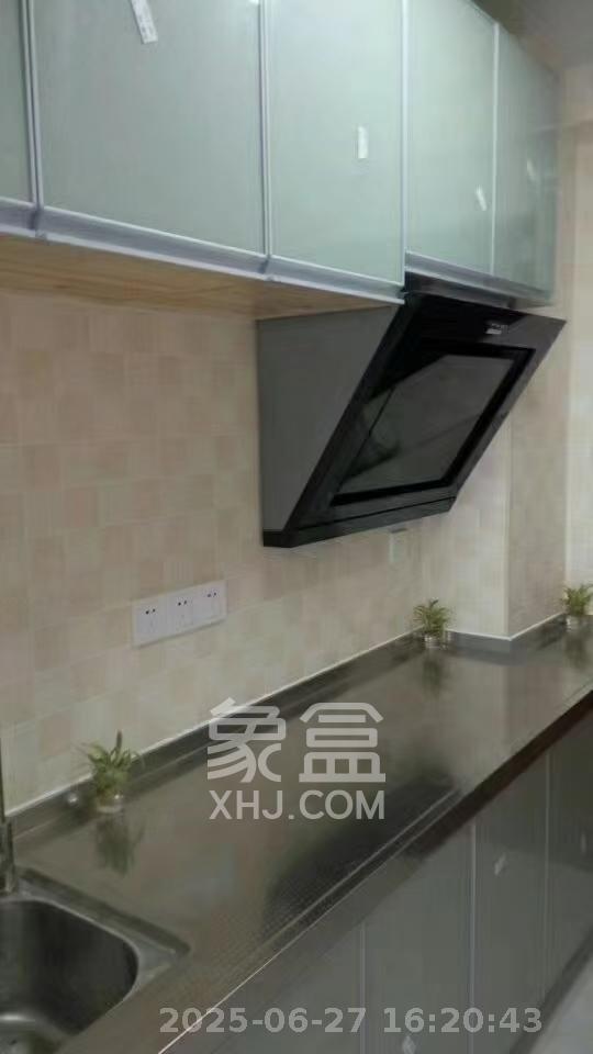 达美D6区  1室1厅1卫   1550.00元/月室内图