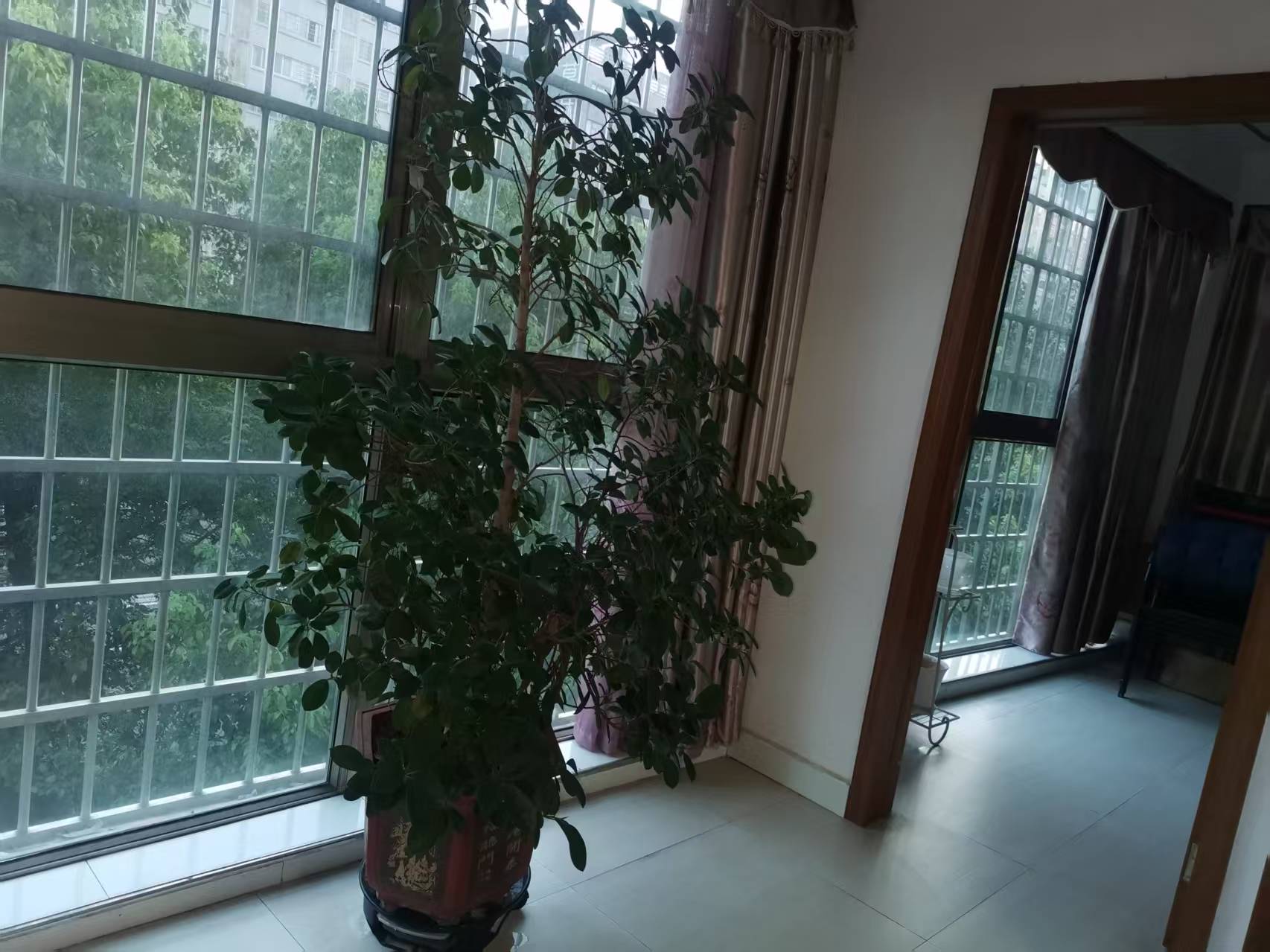 锦绣华庭 1室0厅0卫 1200.0元/月 锦绣华庭 1室0厅0卫 1200.0元/月室内图