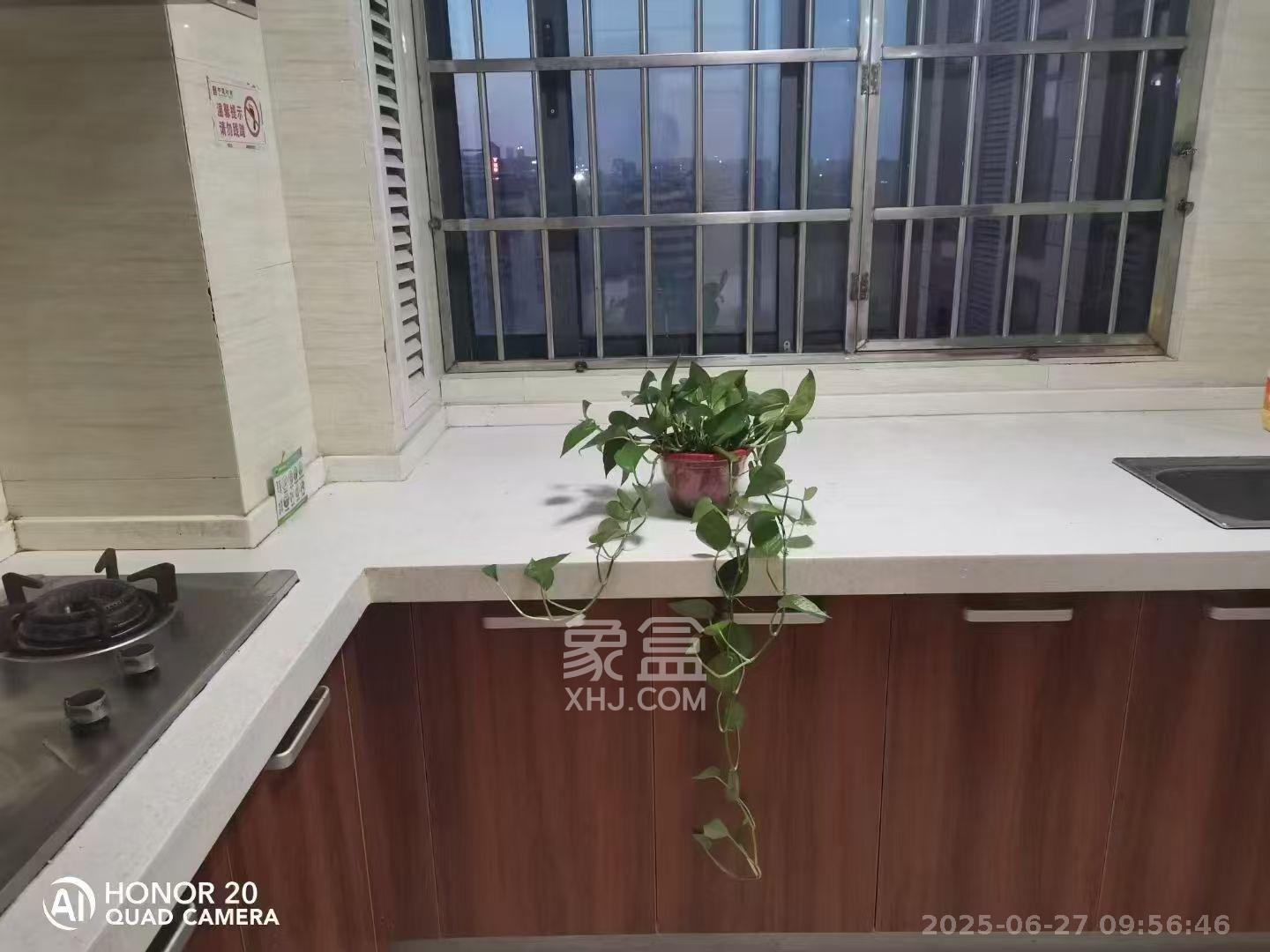 中建木莲工社  1室1厅1卫   1200.00元/月室内图