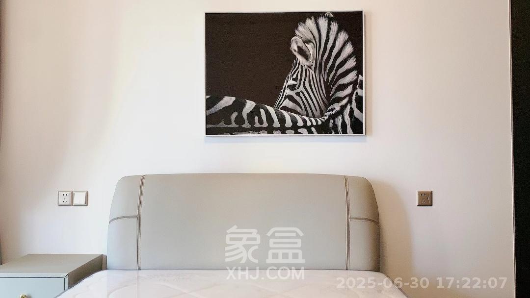 龙湖春江天玺  4室2厅2卫    6500.0元/月室内图