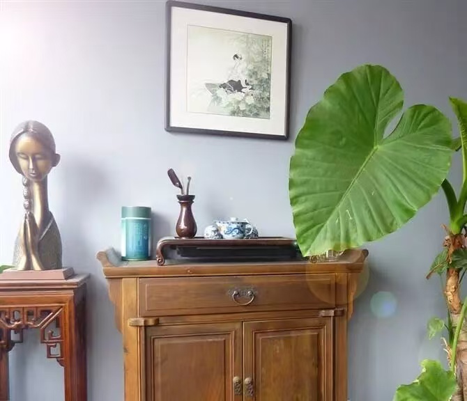 五江建材城  3室2厅2卫    55.0万 五江建材城  3室2厅2卫    55.0万室内图