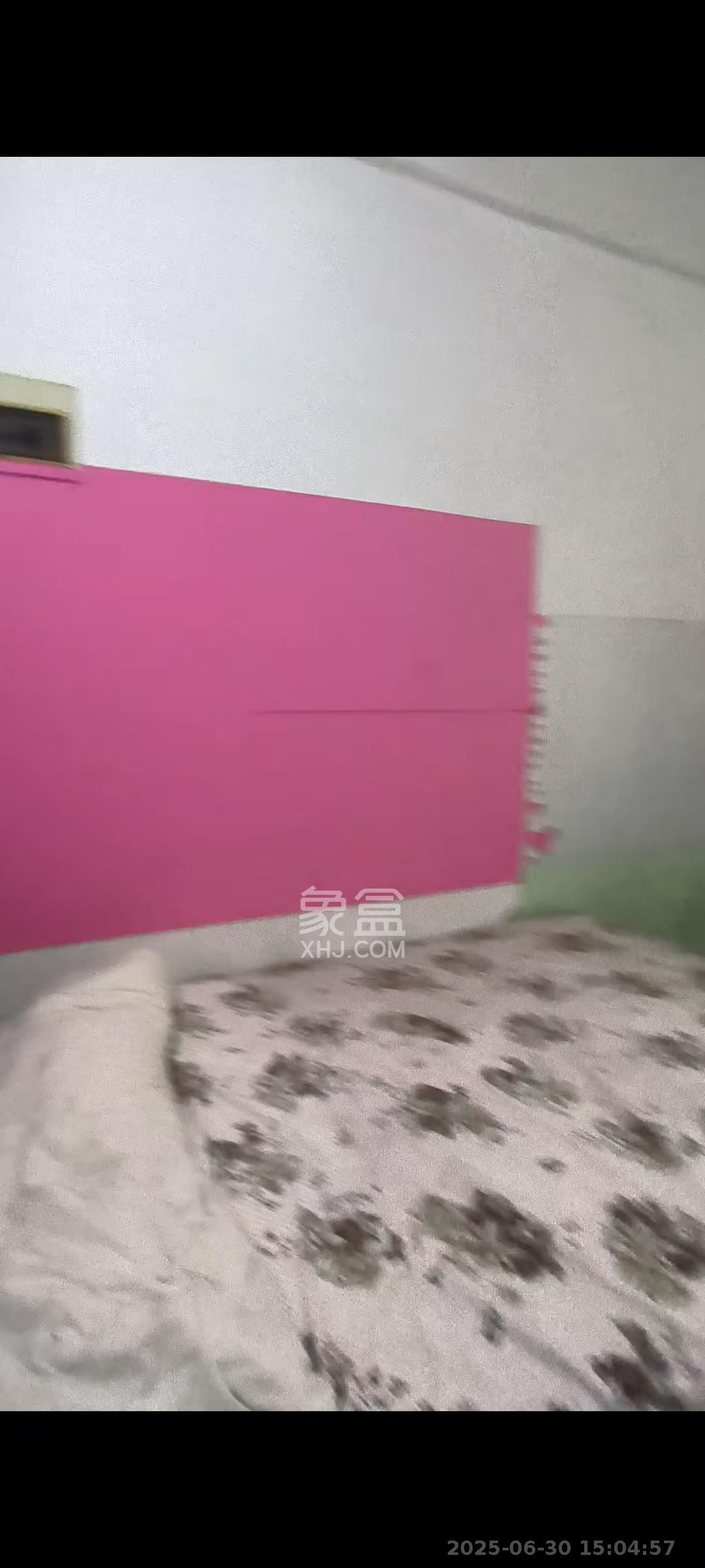 金鹰机电大市场 2室1厅1卫 600.0元/月 金鹰机电大市场 2室1厅1卫 600.0元/月室内图