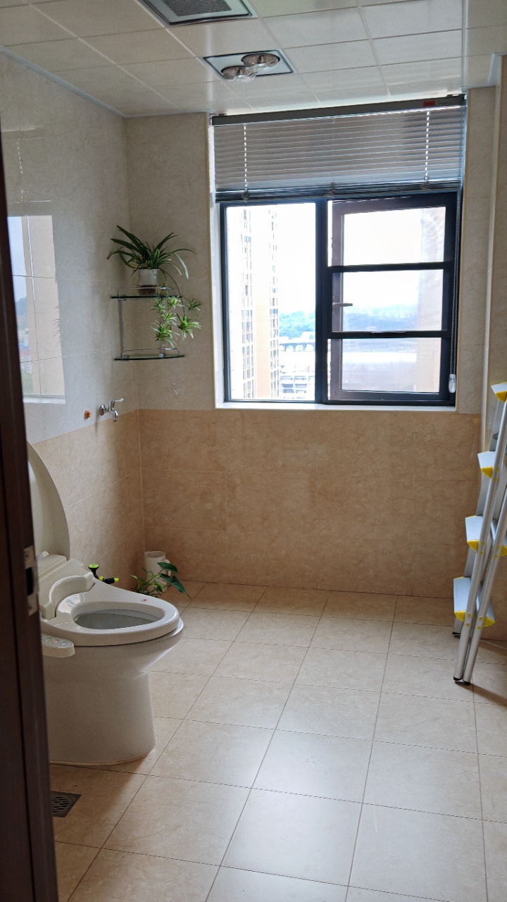 金谷市场  1室0厅0卫    800.0元/月