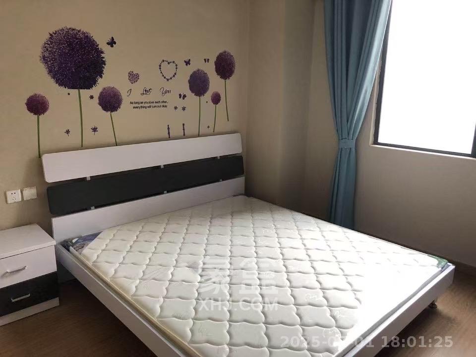 麓谷小镇  3室2厅1卫   2500.00元/月室内图