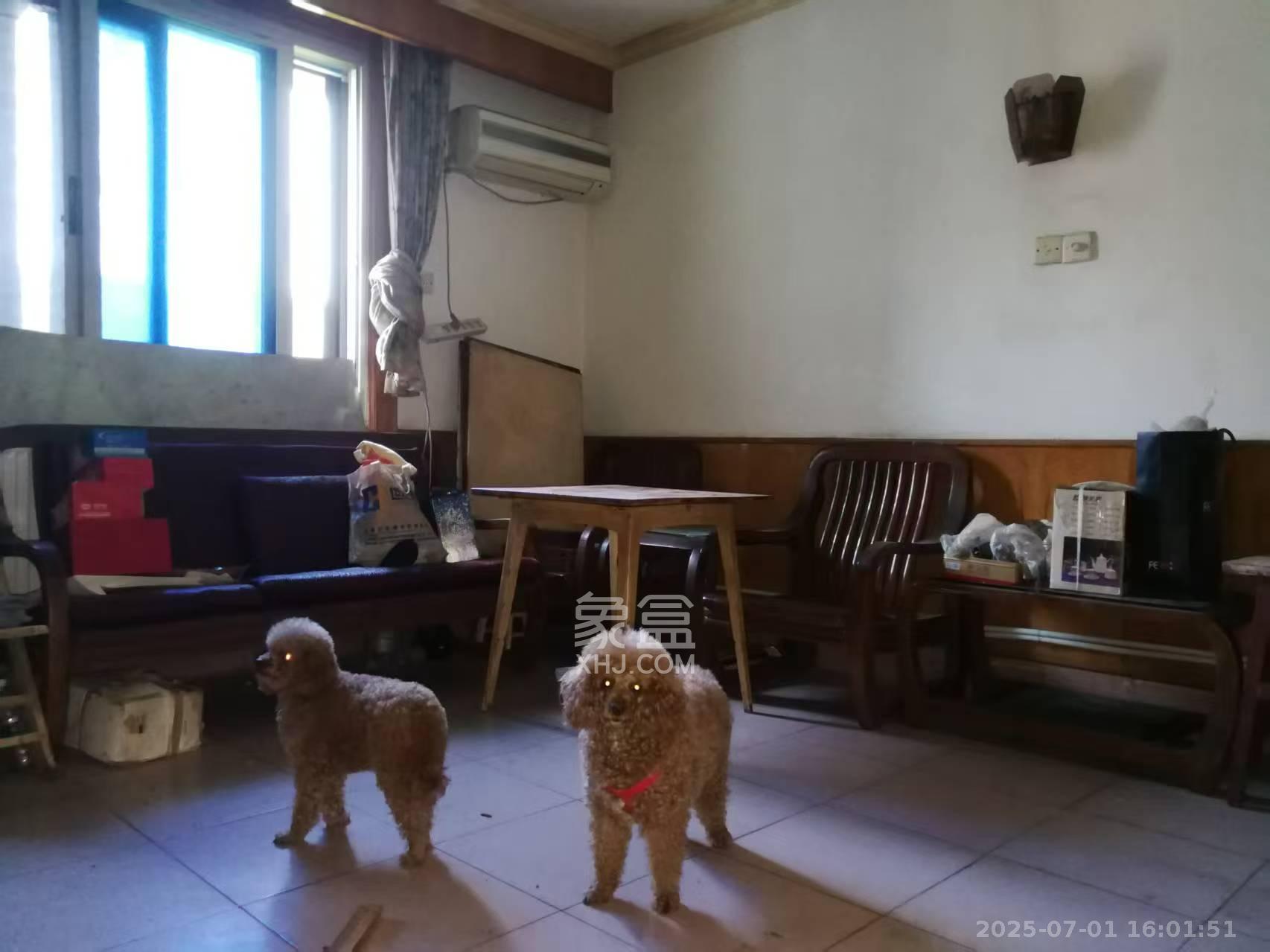 牛角塘社区 2室1厅1卫 1200.0元/月 牛角塘社区 2室1厅1卫 1200.0元/月室内图