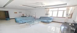 冶金大厦  5室2厅1卫   5500.00元/月