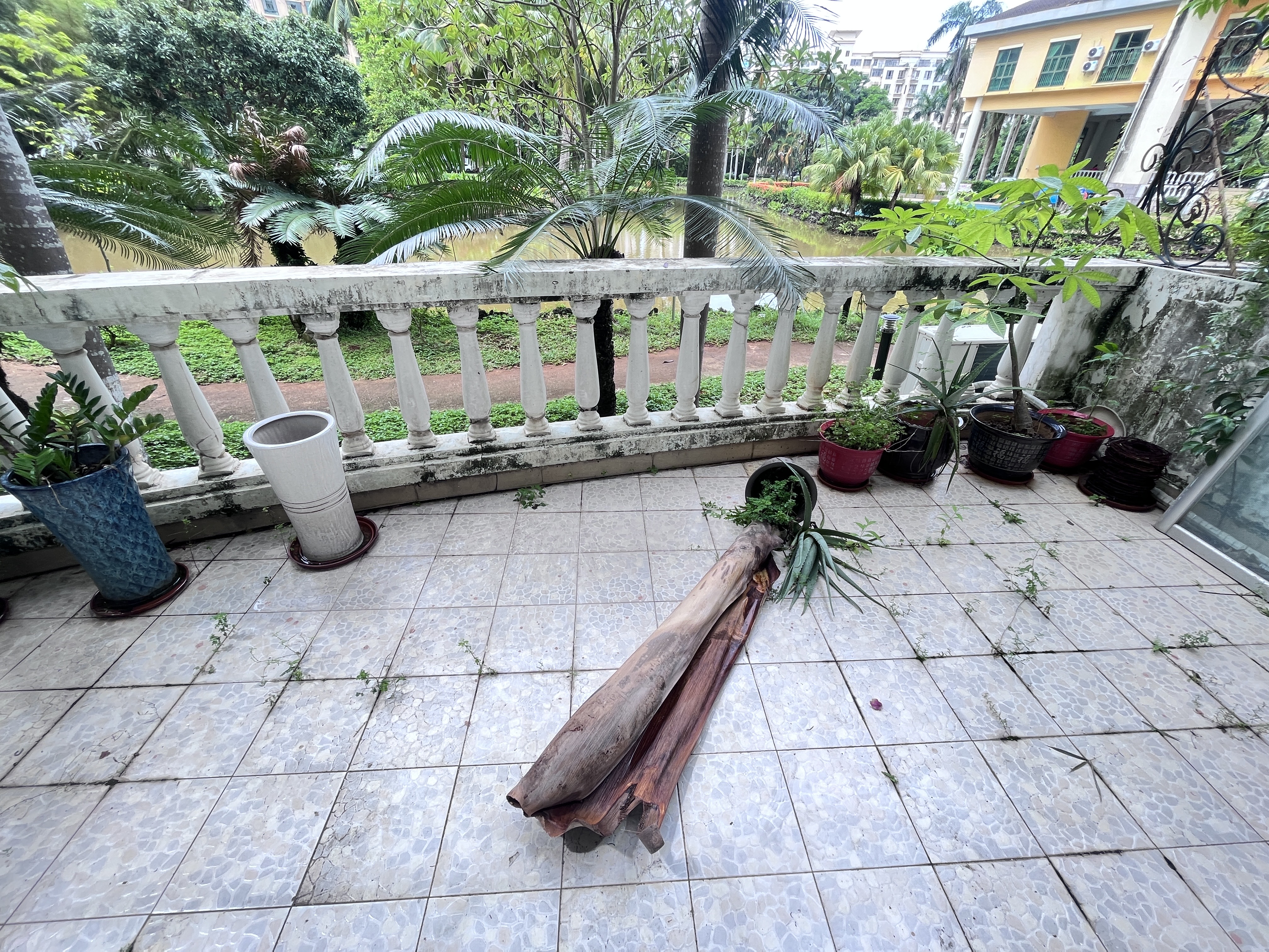 亚洲豪苑北区 3室2厅2卫 236.0万 亚洲豪苑北区 3室2厅2卫 236.0万客厅