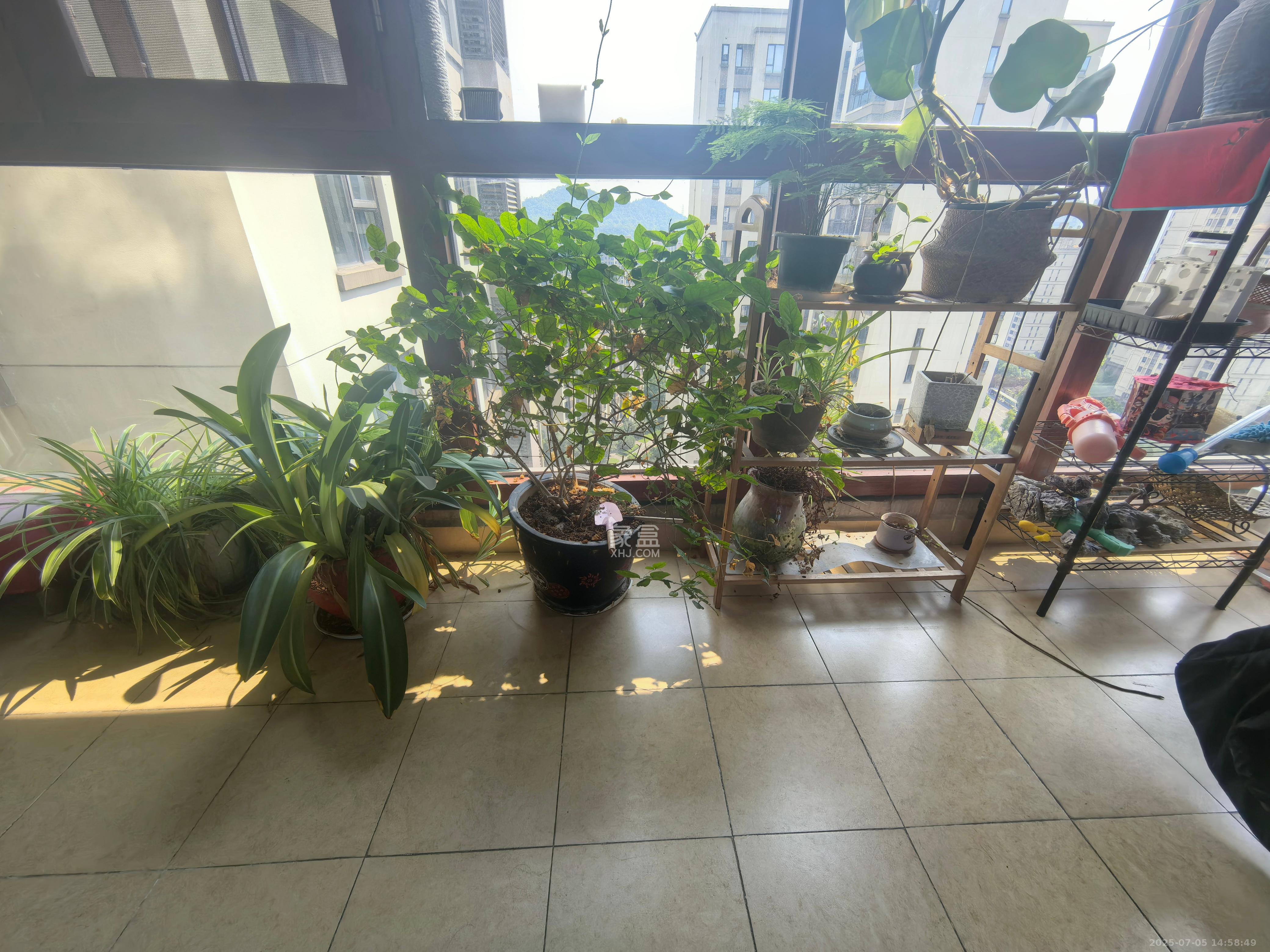 万科里梅溪郡  3室2厅1卫   4200.00元/月室内图